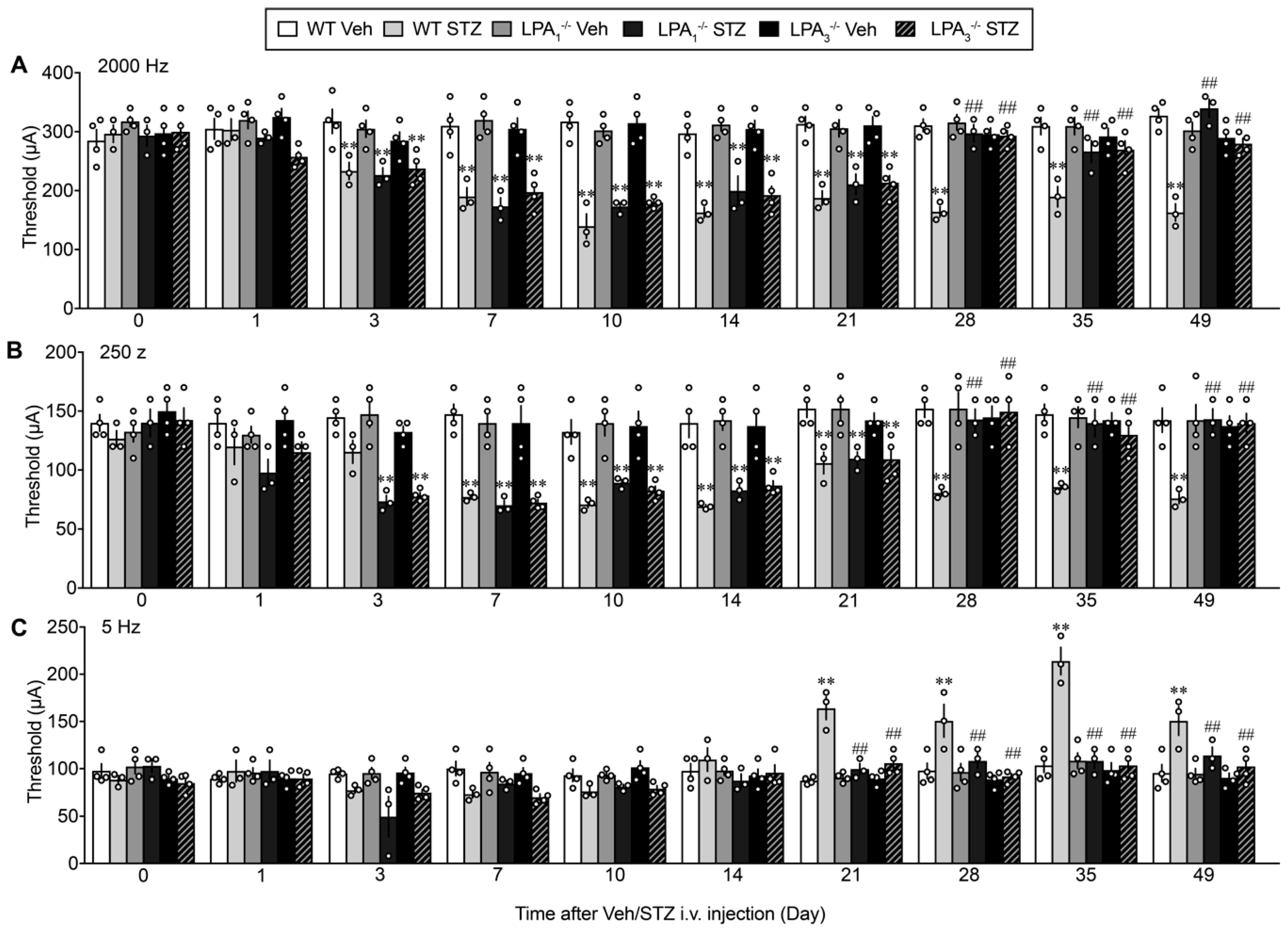 Cells 09 01906 g008 Cells 09 01906 g008