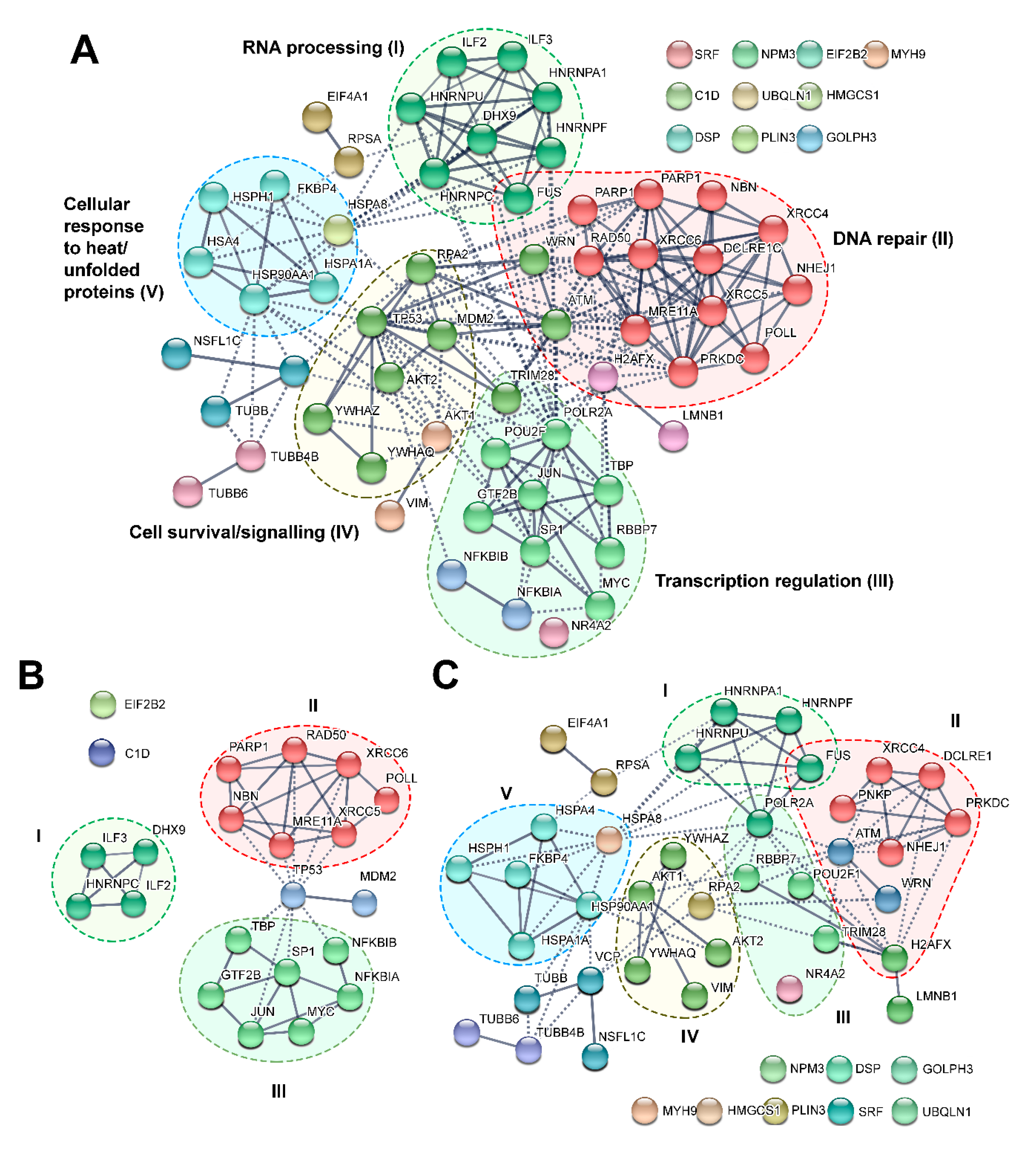 Cells 09 01907 g002 Cells 09 01907 g002