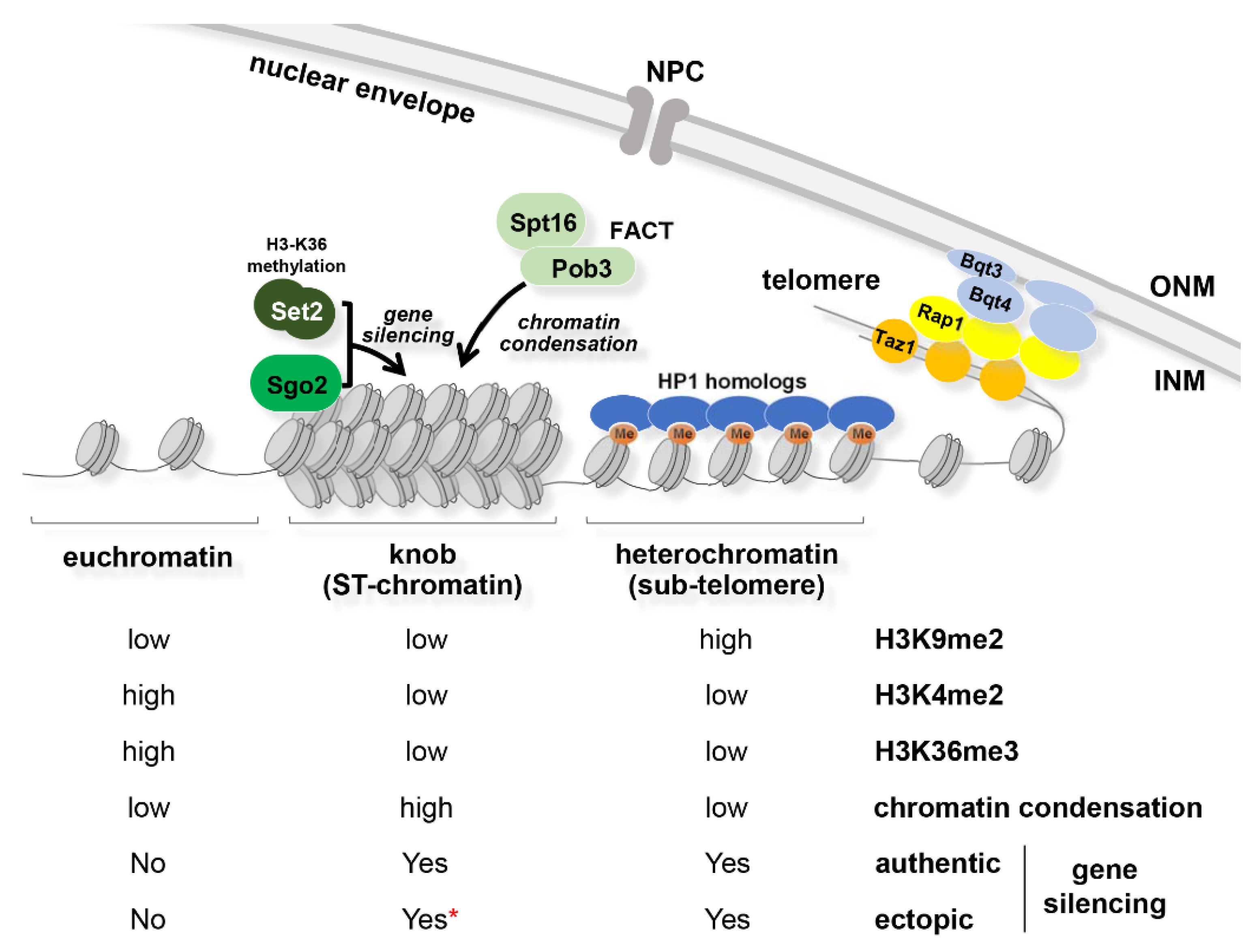 Cells 09 01908 g004 Cells 09 01908 g004