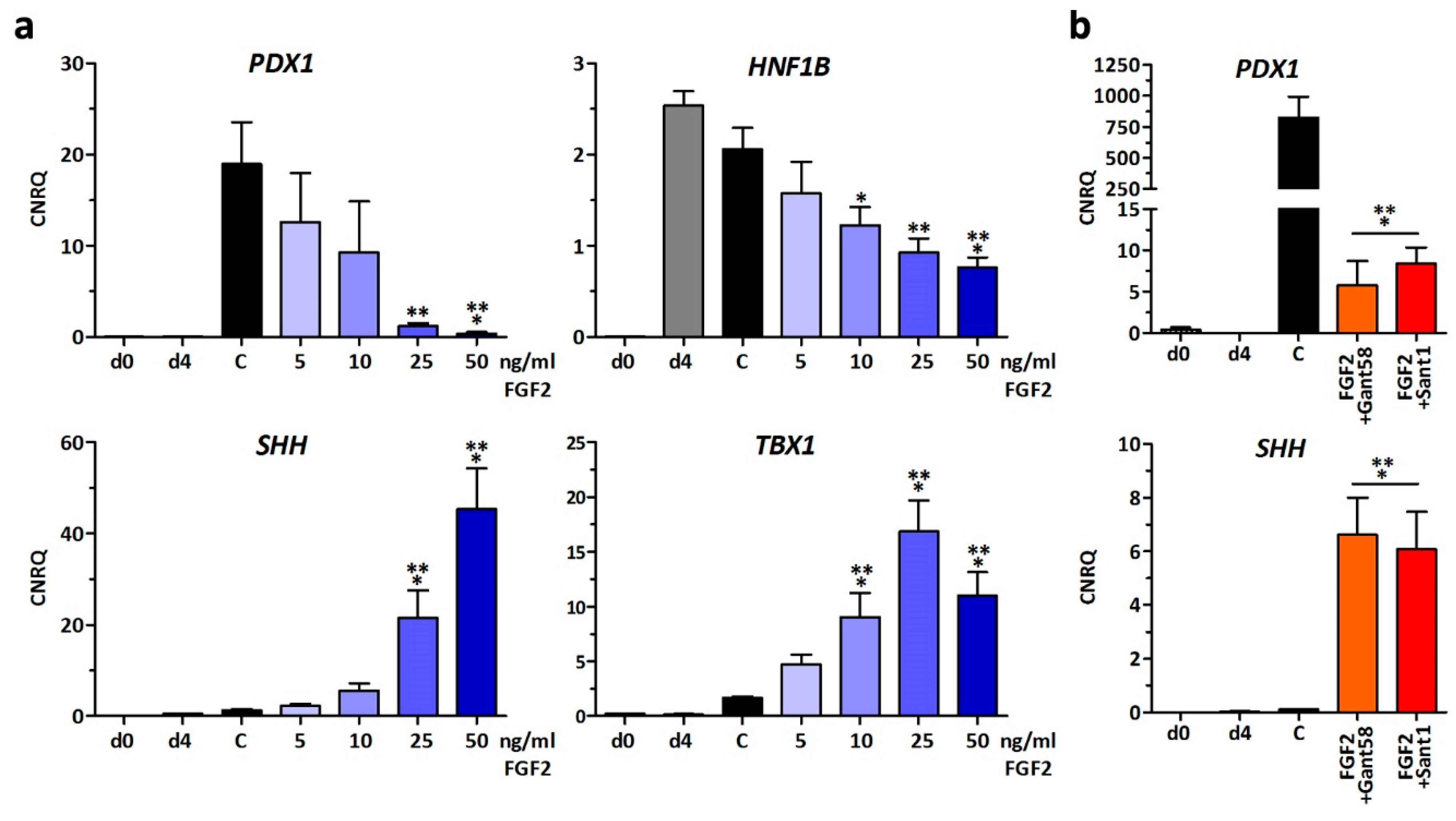 Cells 09 01927 g002 Cells 09 01927 g002