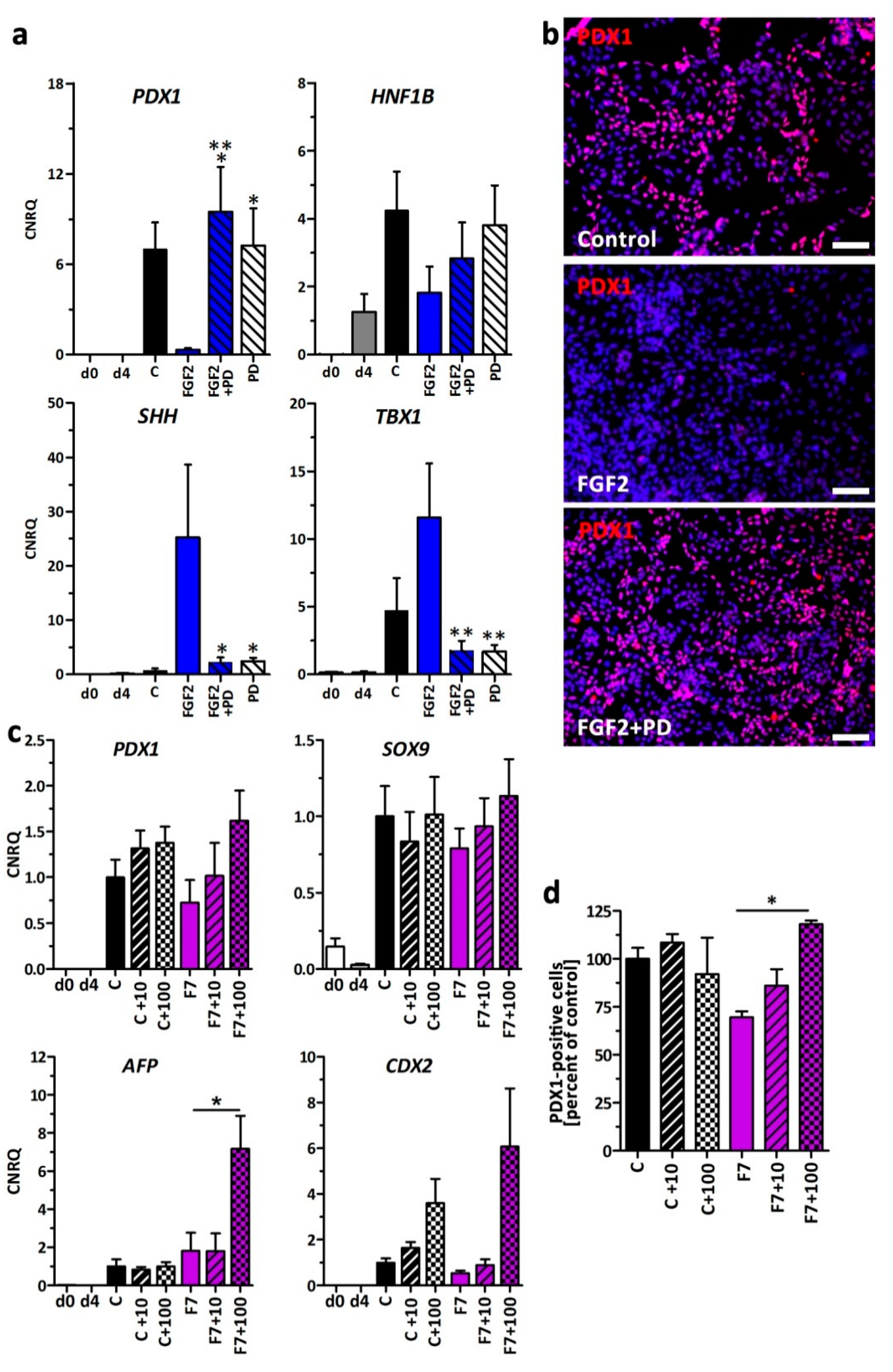 Cells 09 01927 g006 Cells 09 01927 g006