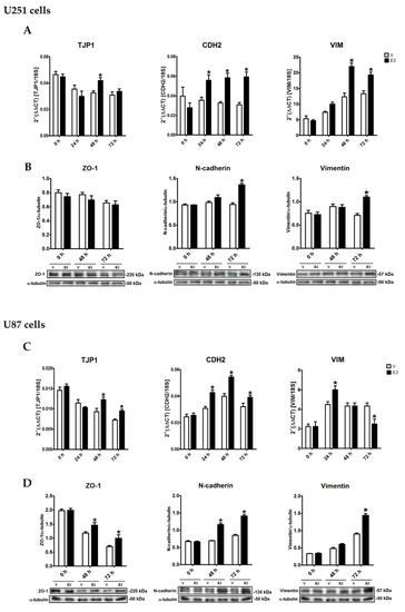 Arbuscular Mycorrhizal Fungi Induced Plant Resistance