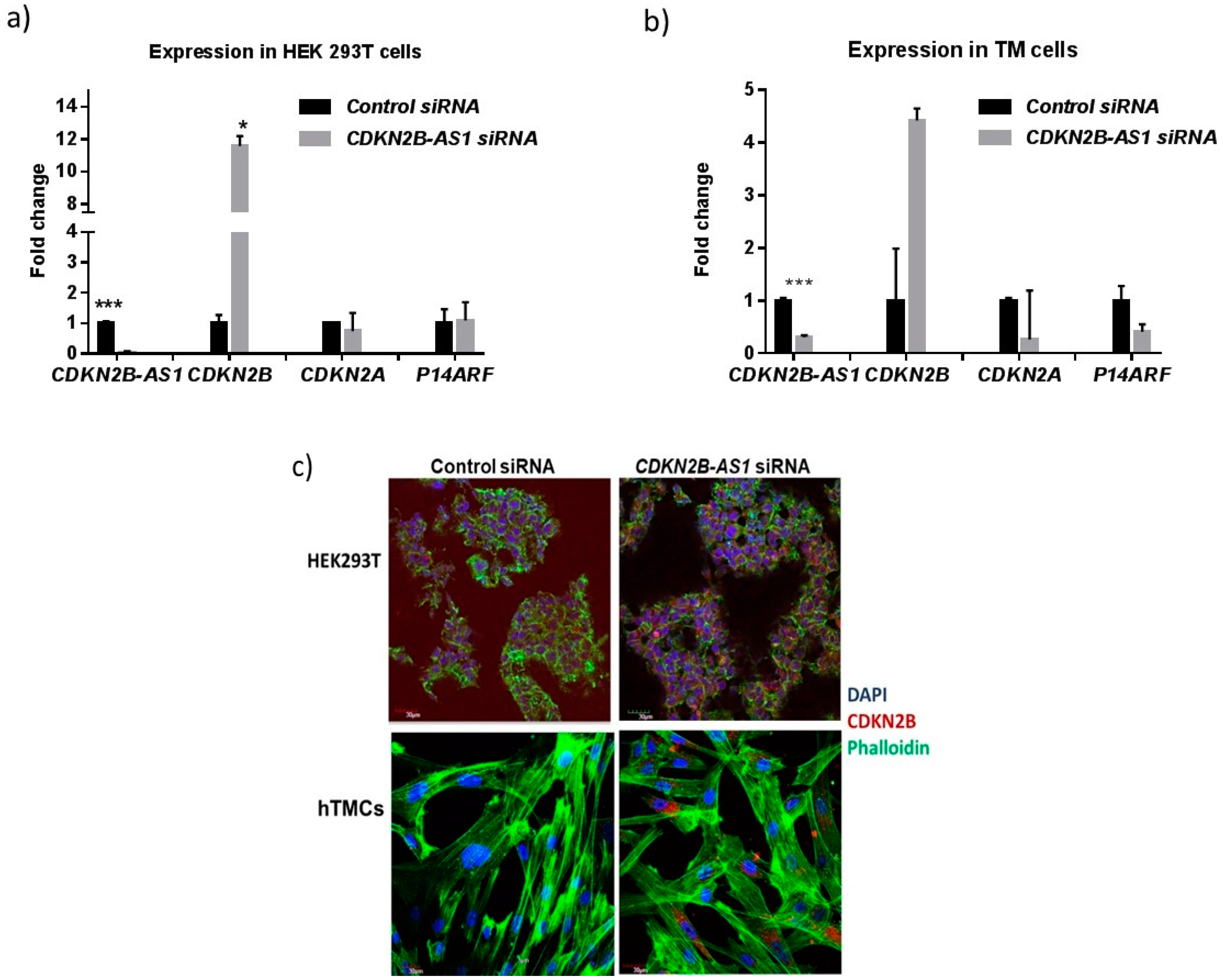 Cells 09 01934 g003 Cells 09 01934 g003