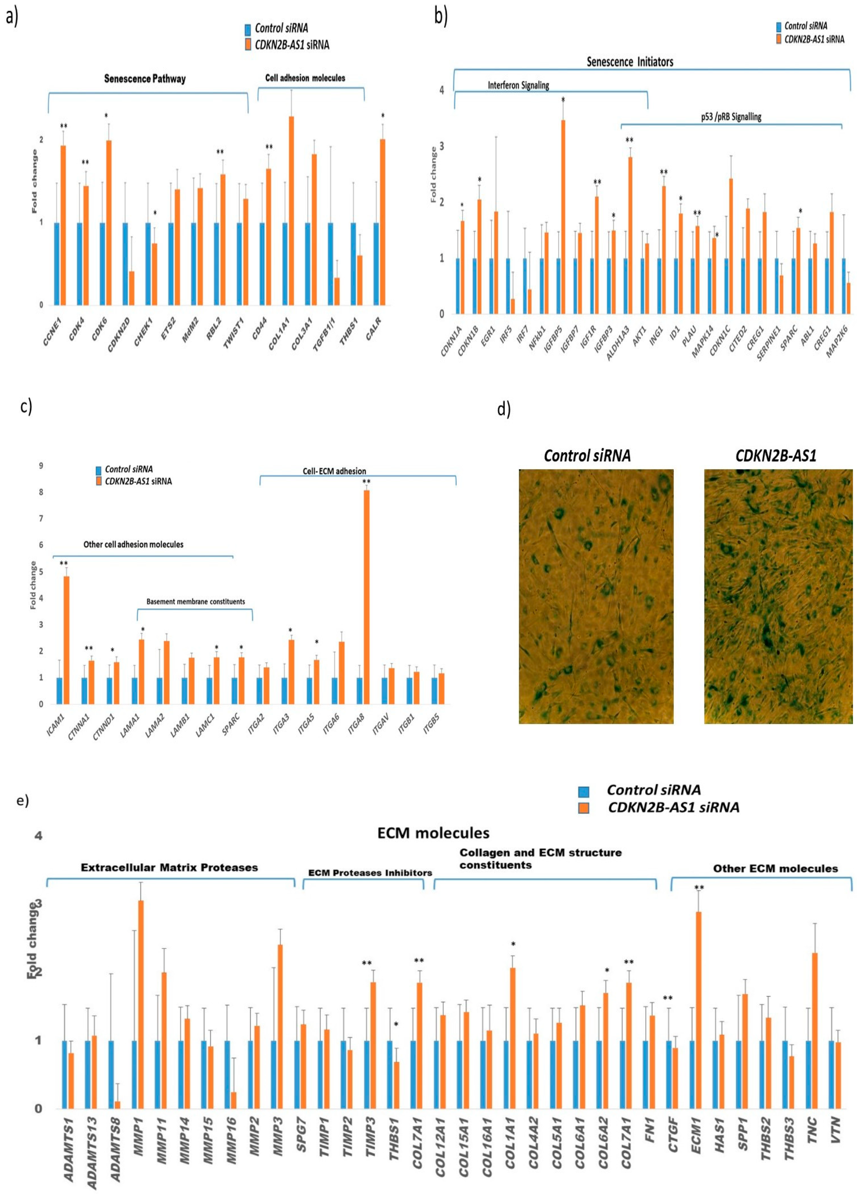 Cells 09 01934 g004 Cells 09 01934 g004