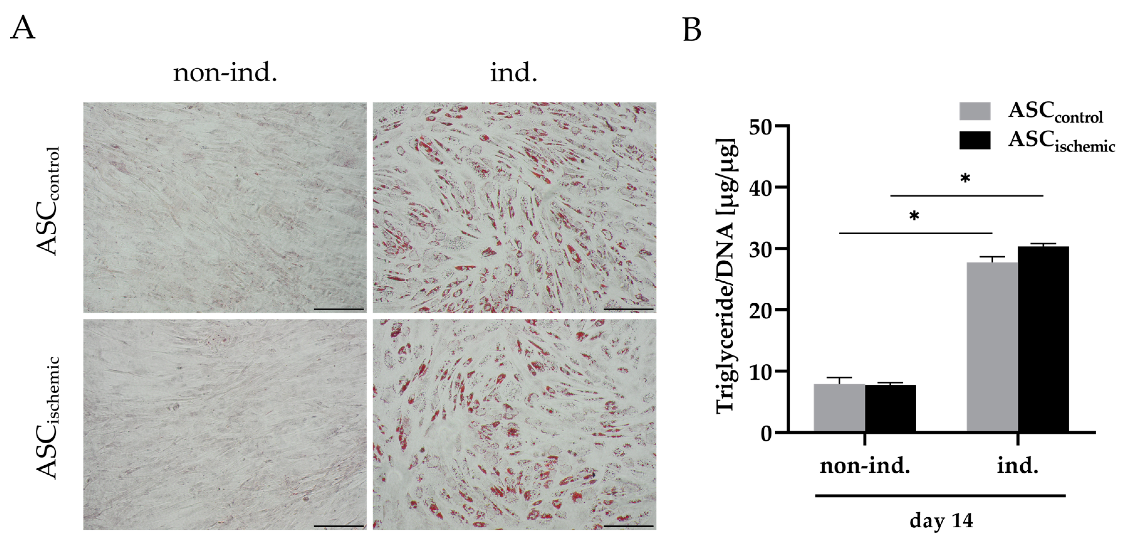 Cells 09 01935 g002 Cells 09 01935 g002