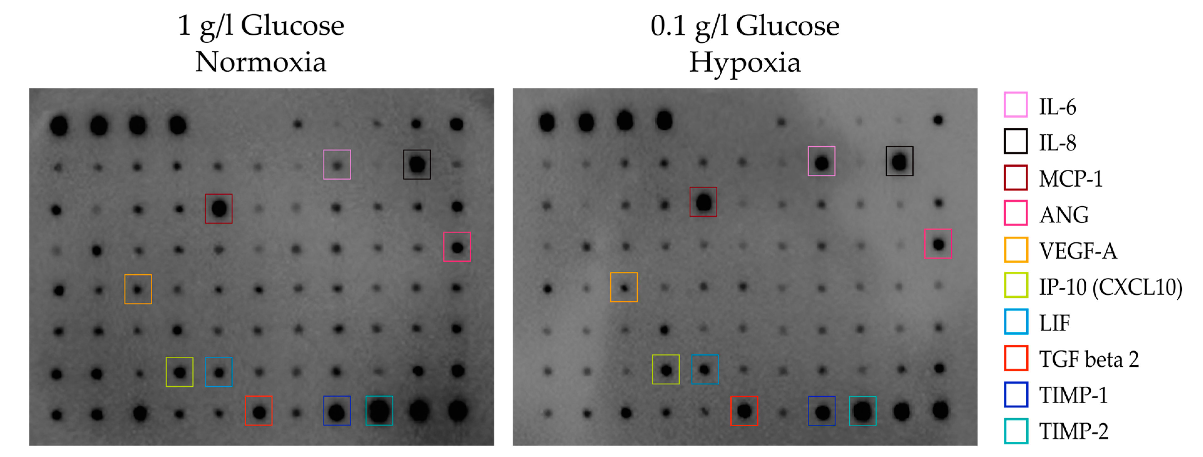 Cells 09 01935 g004 Cells 09 01935 g004