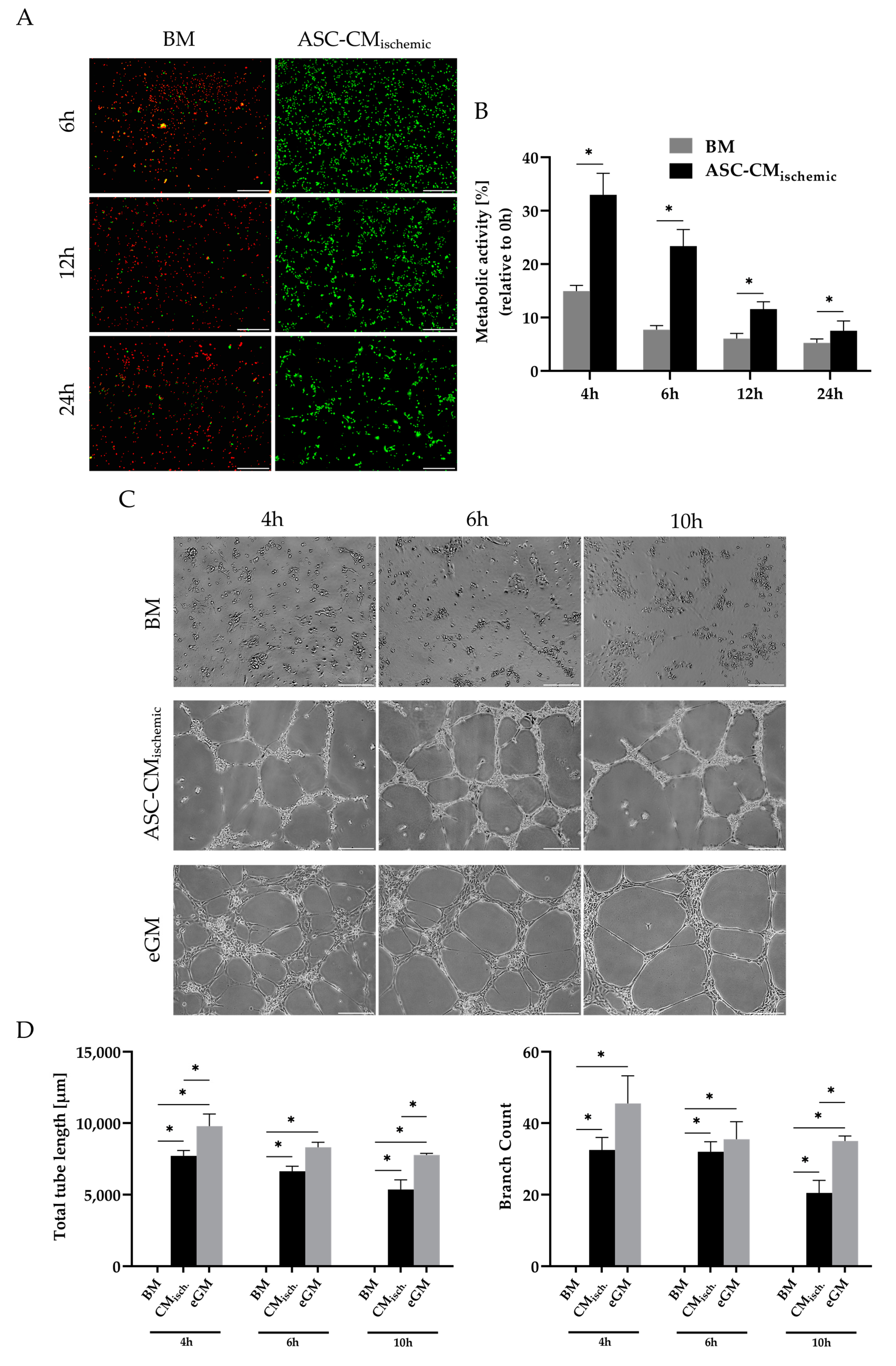 Cells 09 01935 g007 Cells 09 01935 g007