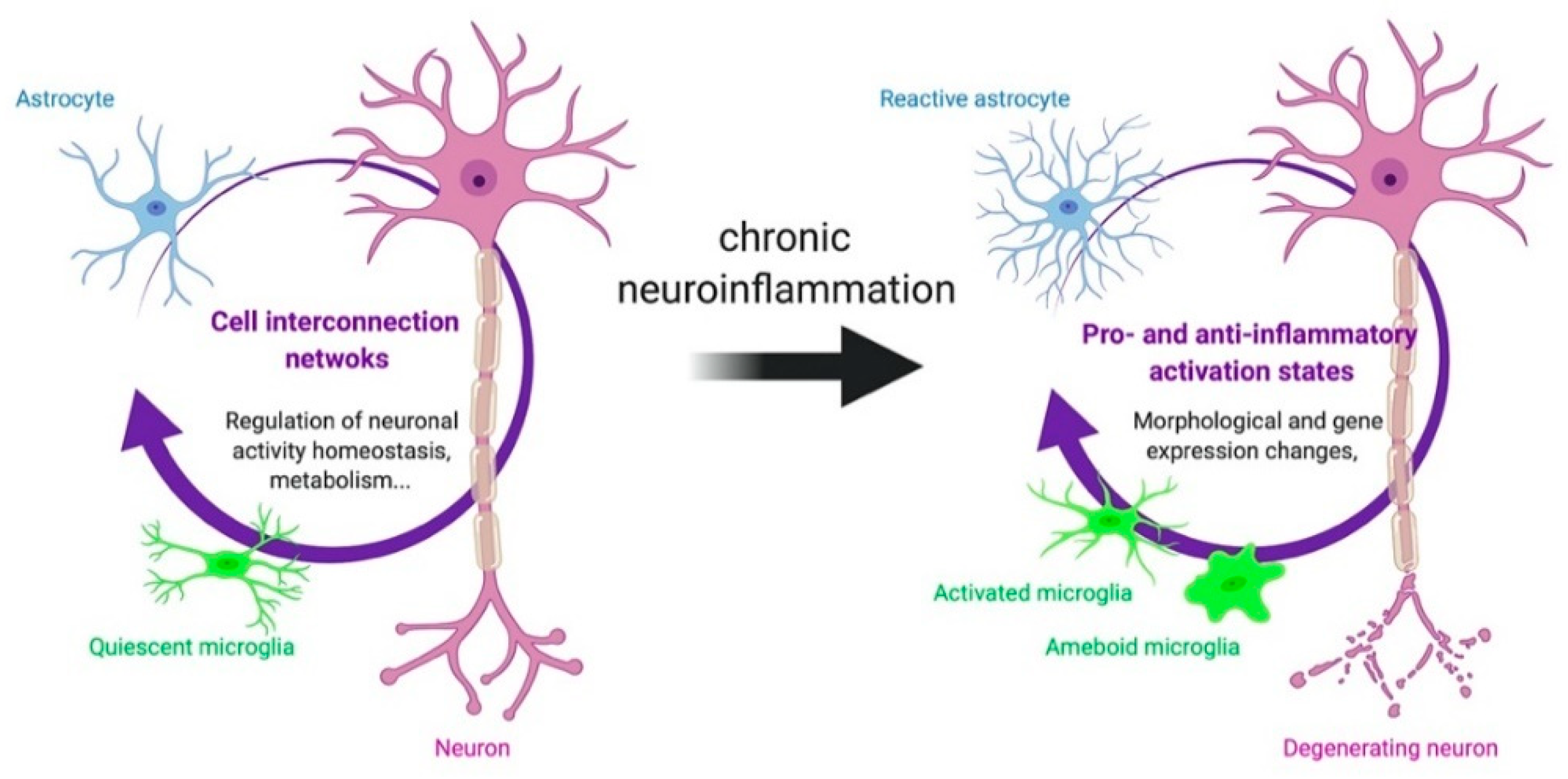 Cells 09 01941 g001 Cells 09 01941 g001