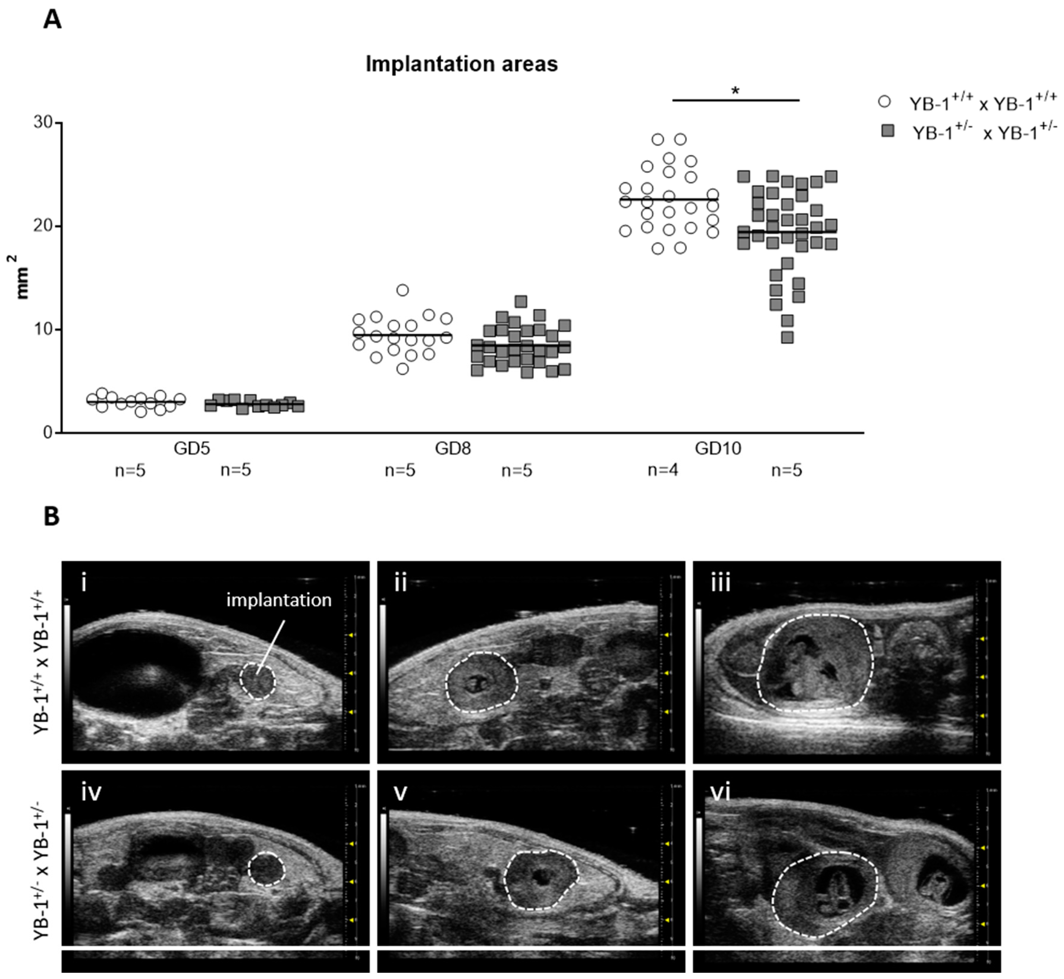 Cells 09 01942 g001 Cells 09 01942 g001