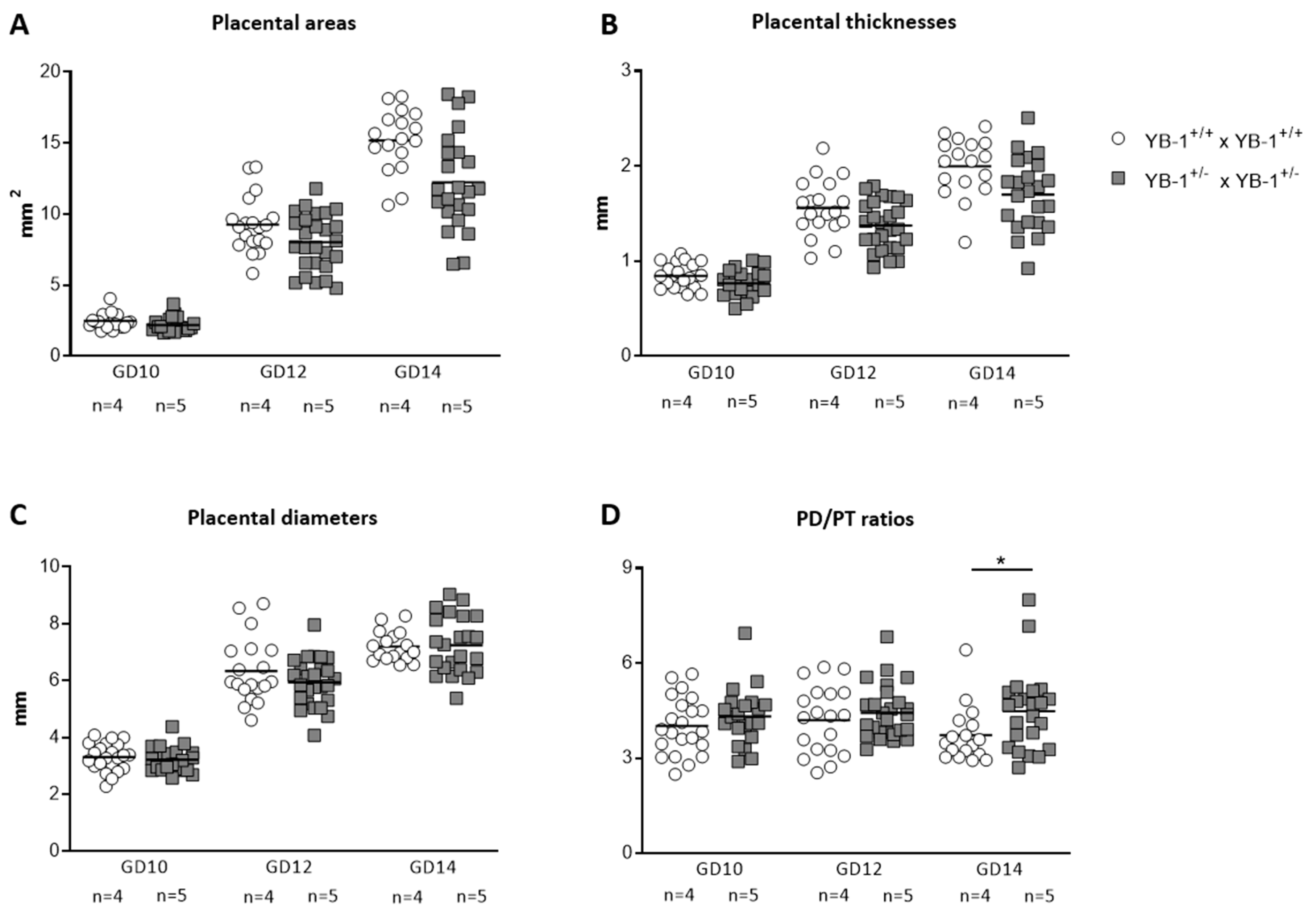 Cells 09 01942 g002 Cells 09 01942 g002