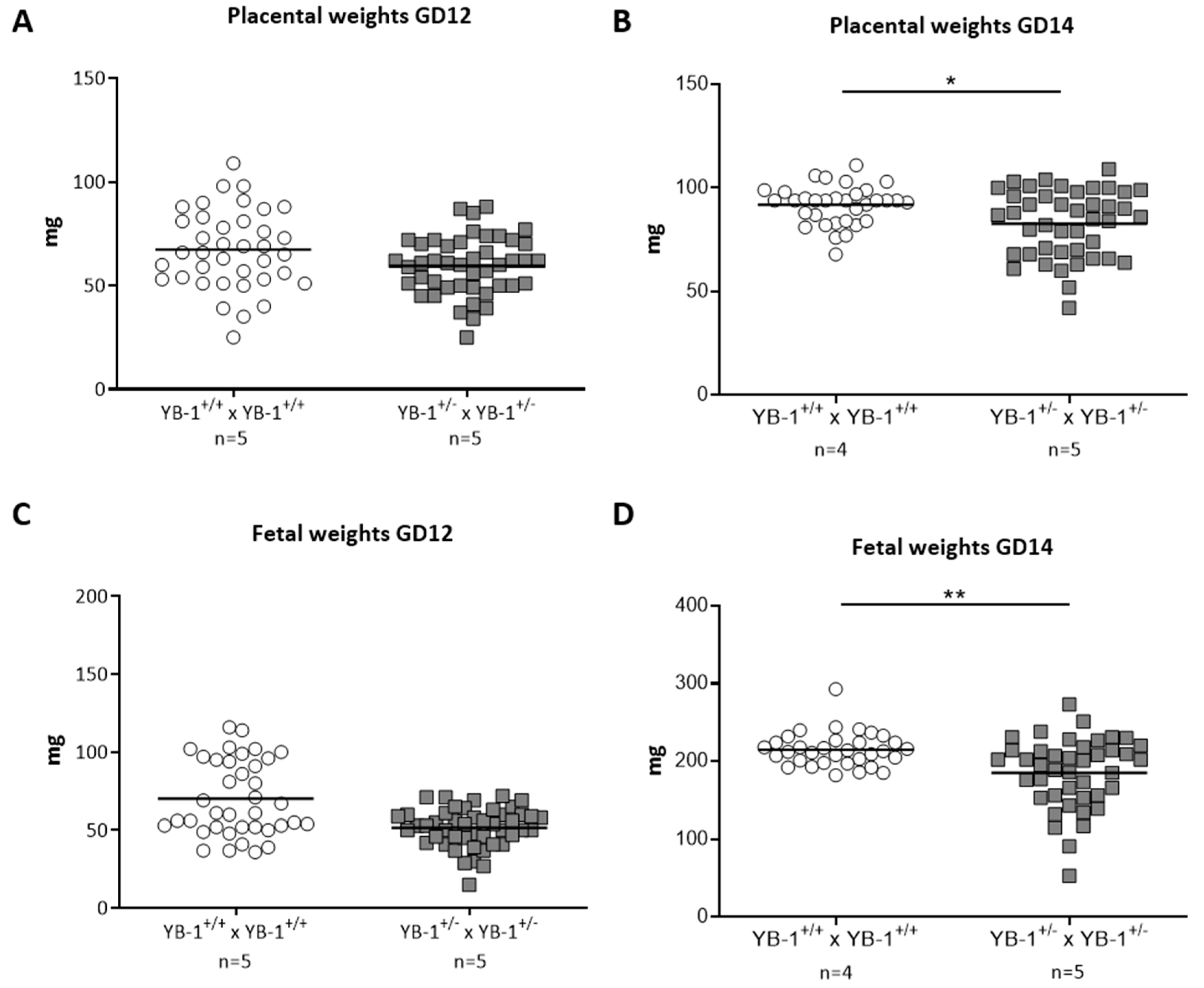 Cells 09 01942 g003 Cells 09 01942 g003