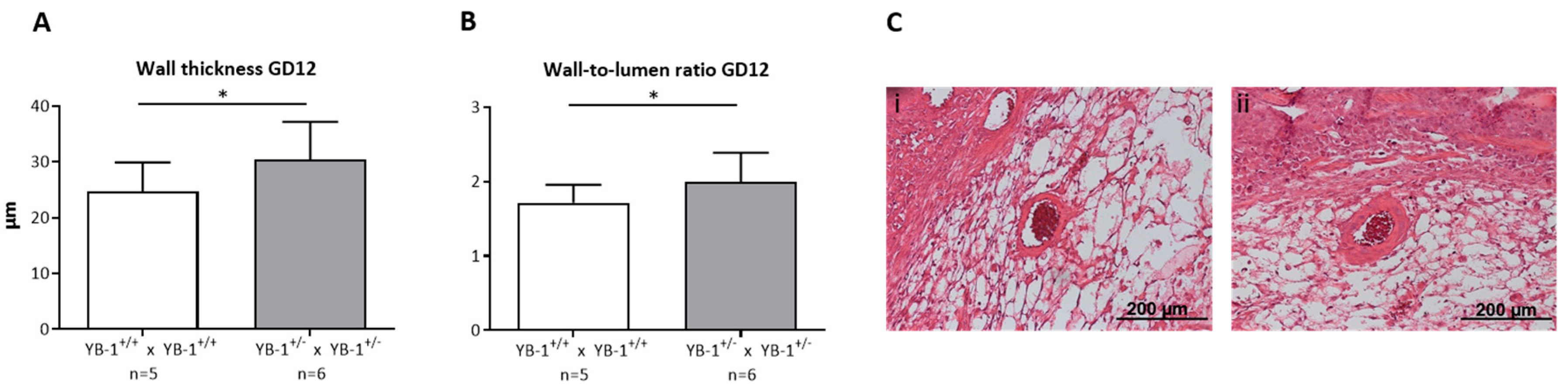 Cells 09 01942 g004 Cells 09 01942 g004