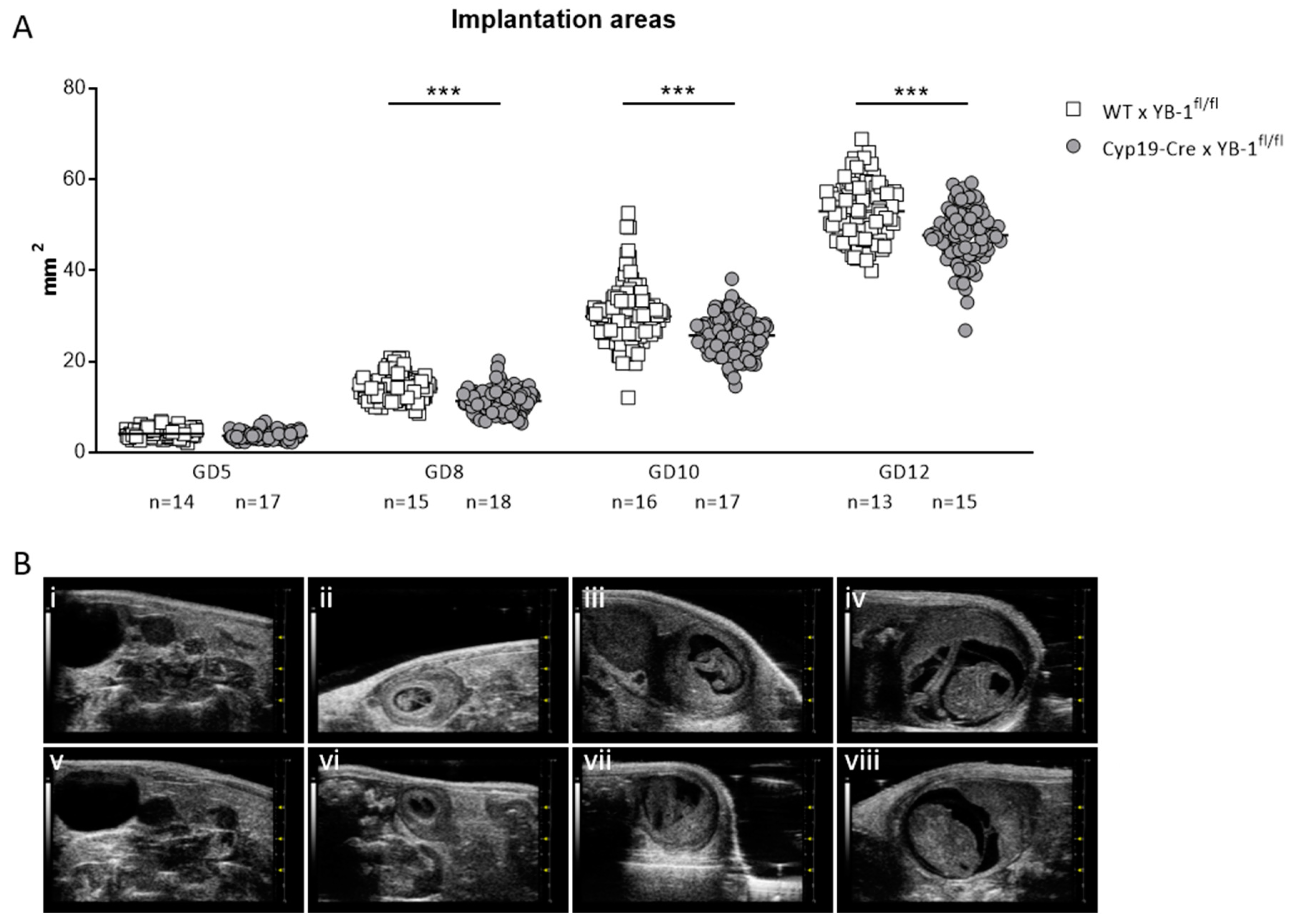 Cells 09 01942 g005 Cells 09 01942 g005