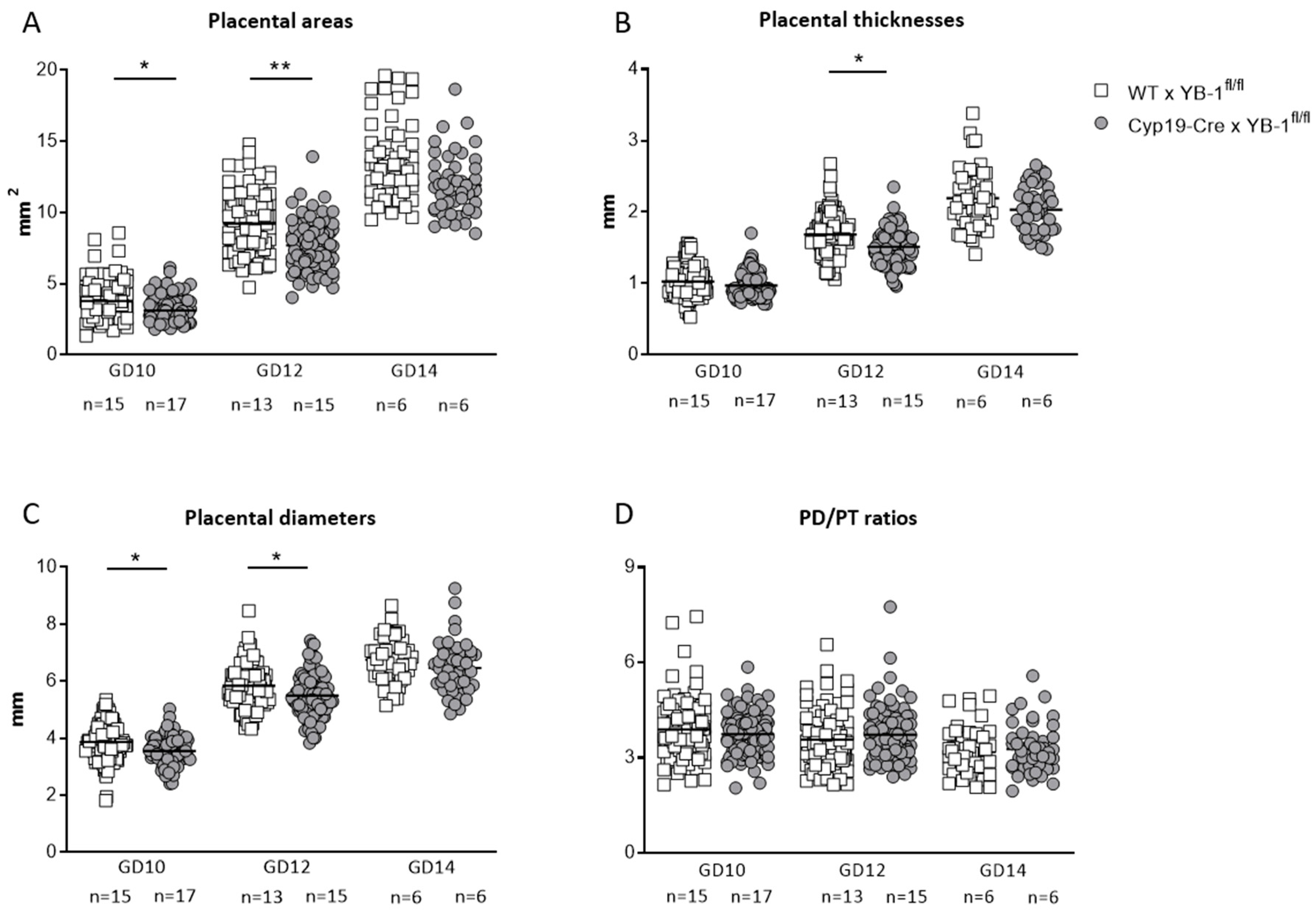 Cells 09 01942 g006 Cells 09 01942 g006
