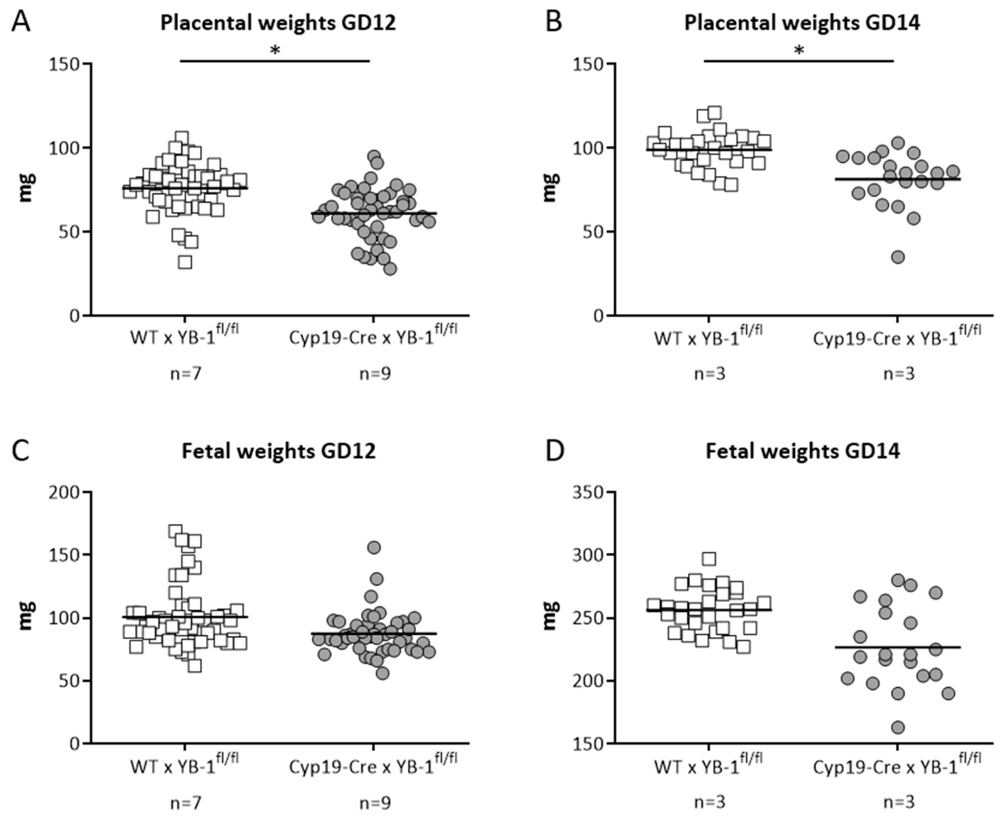 Cells 09 01942 g007 Cells 09 01942 g007