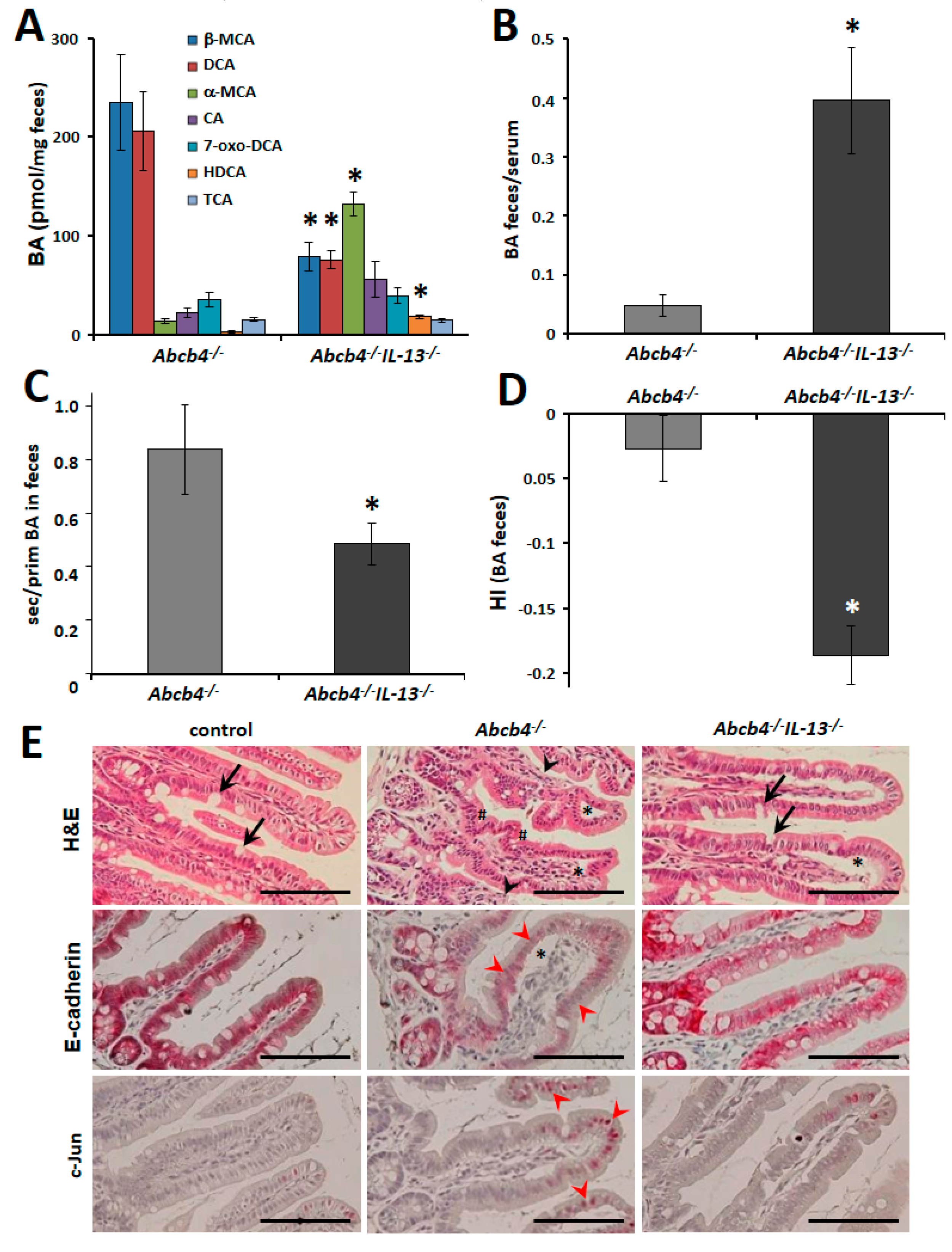 Cells 09 01949 g004 Cells 09 01949 g004