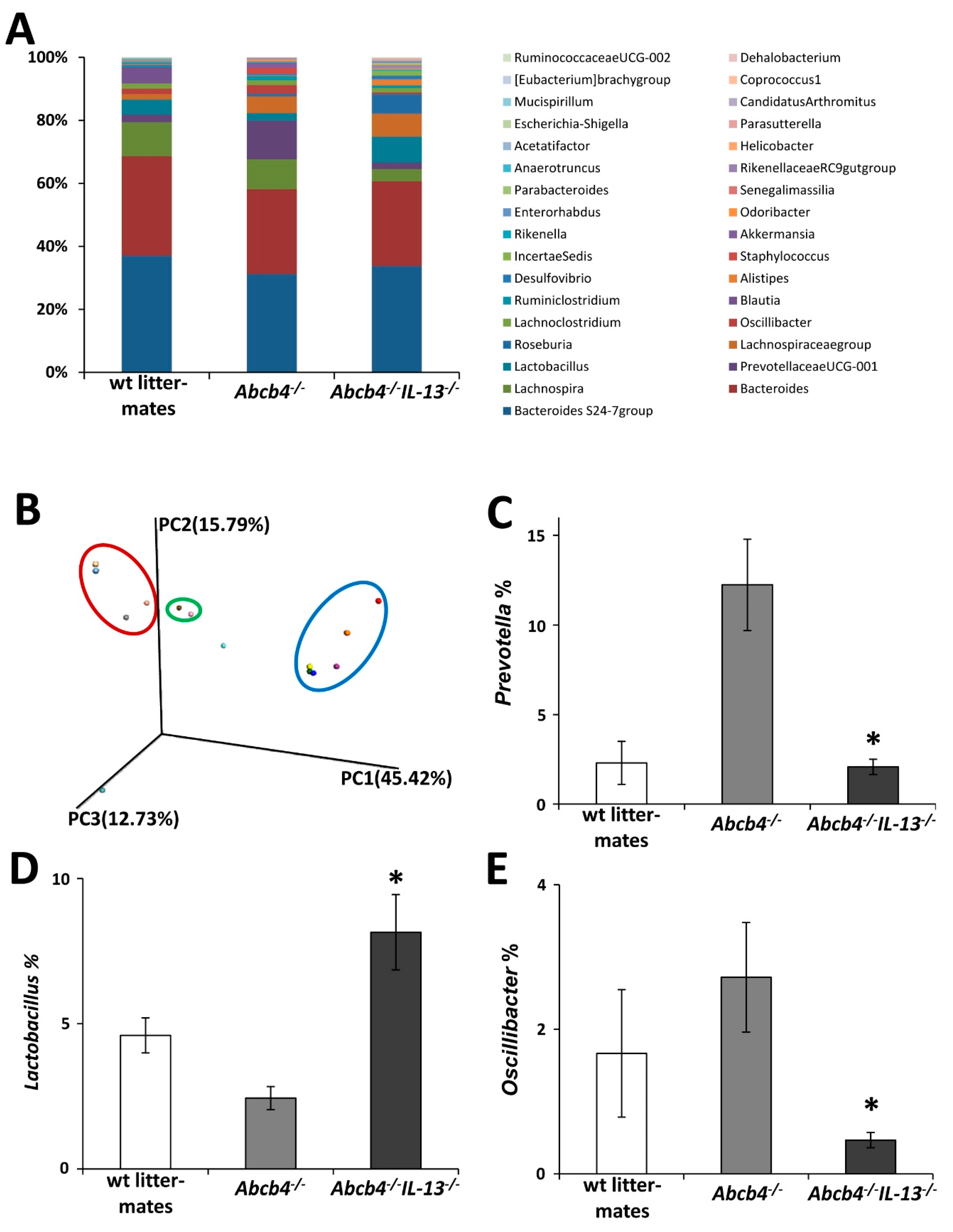 Cells 09 01949 g005 Cells 09 01949 g005