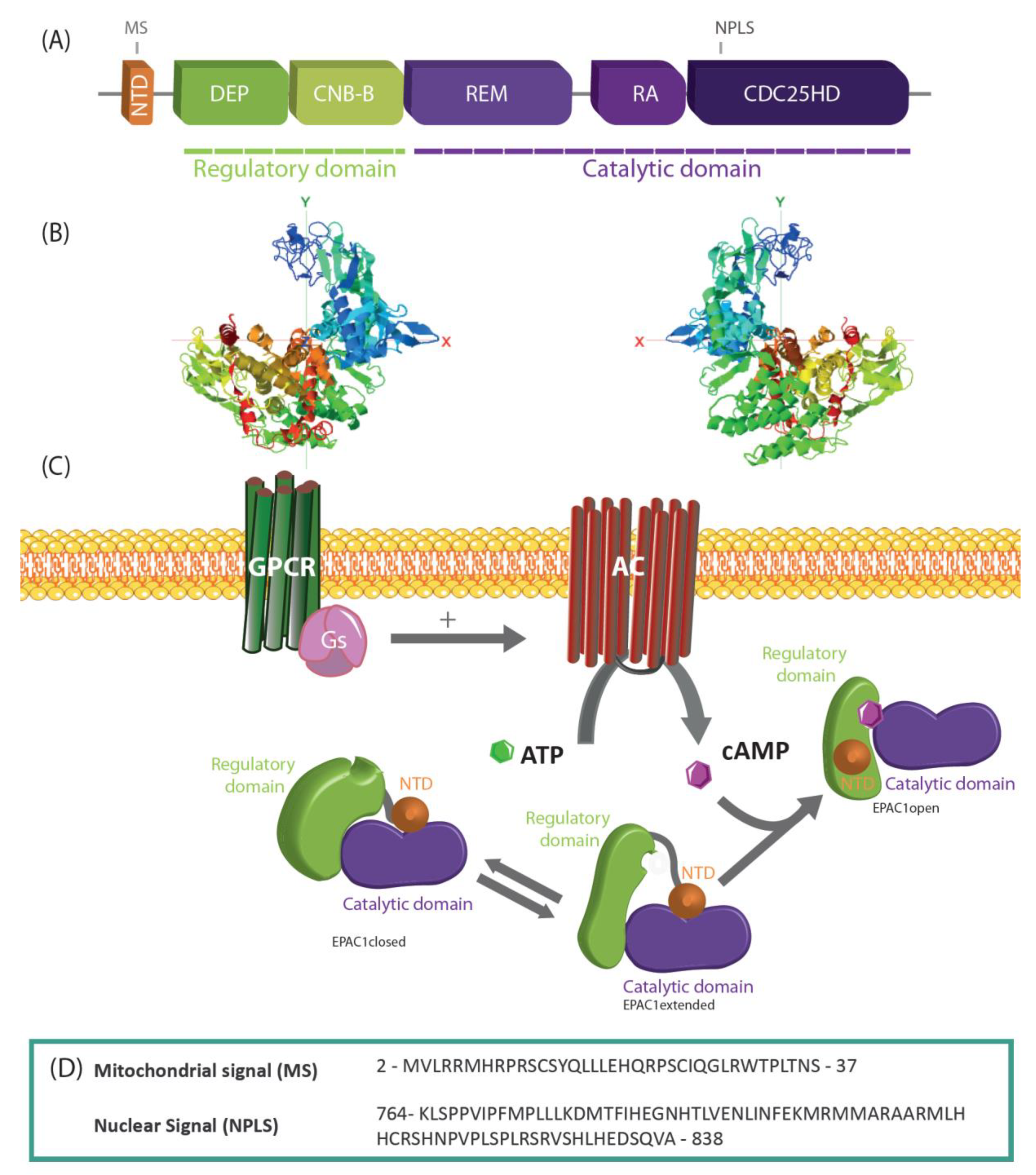 Cells 09 01954 g001 Cells 09 01954 g001