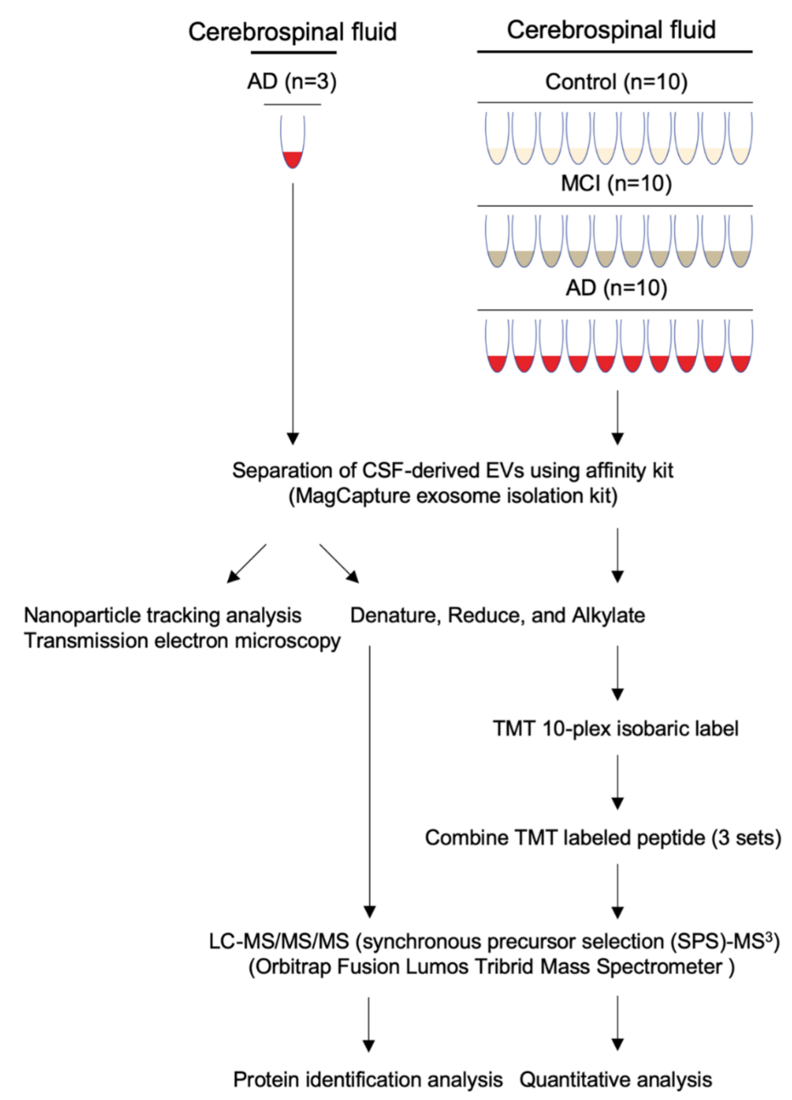 Cells Free Full Text Proteomic Profiling Of Extracellular Vesicles Derived From Cerebrospinal Fluid Of Alzheimer S Disease Patients A Pilot Study Html Cells Free Full Text Proteomic Profiling Of Extracellular Vesicles Derived From Cerebrospinal Fluid Of Alzheimer S Disease Patients A Pilot Study Html