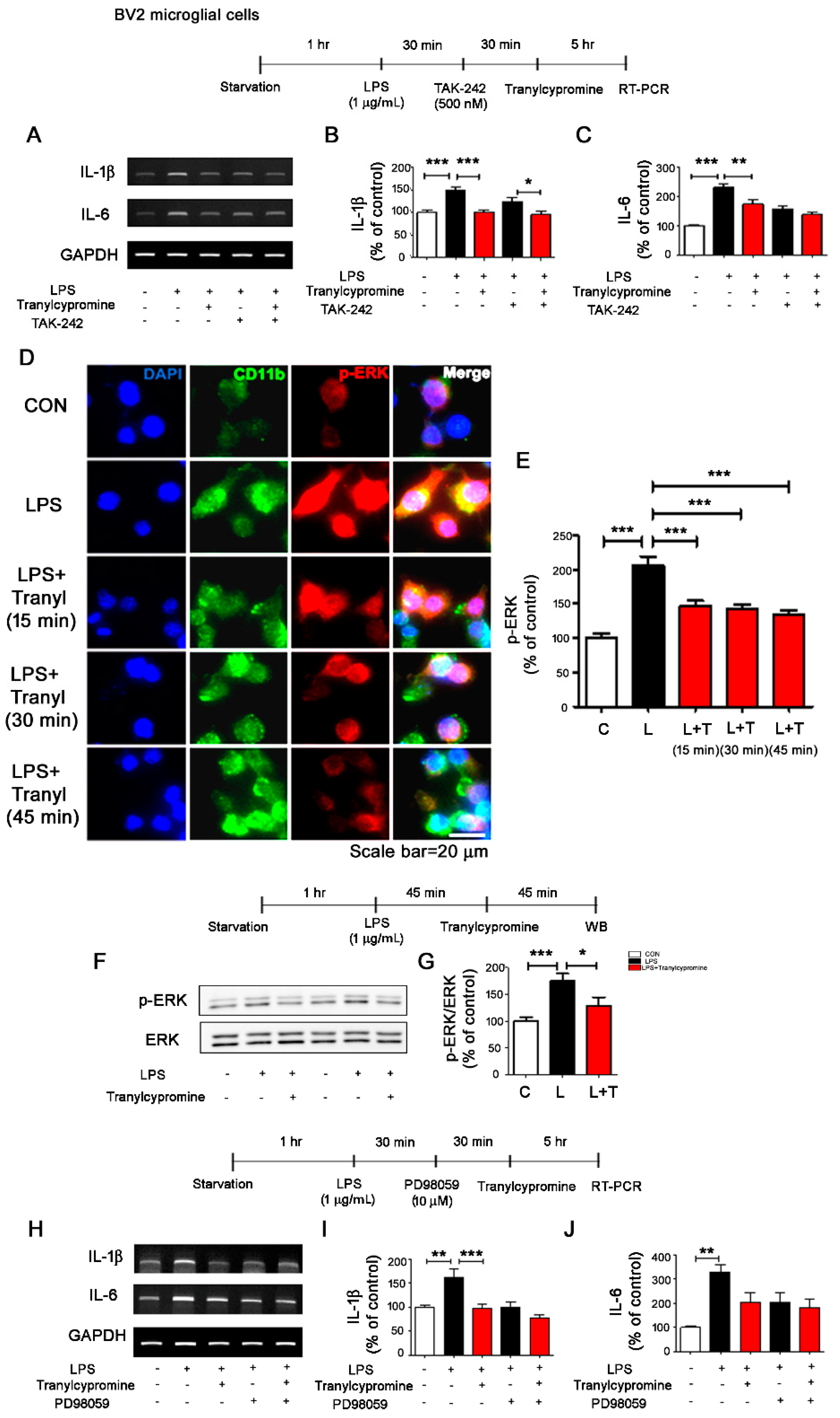 Cells 09 01982 g002 Cells 09 01982 g002