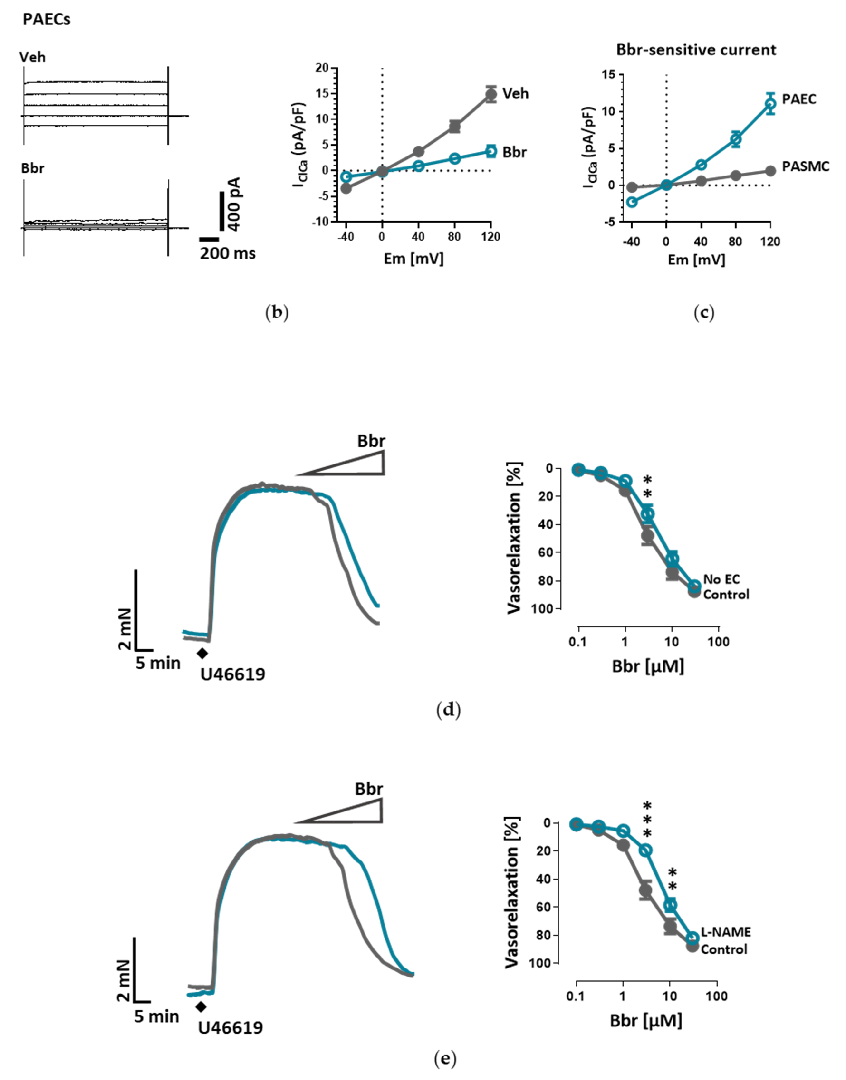 Cells 09 01984 g001b