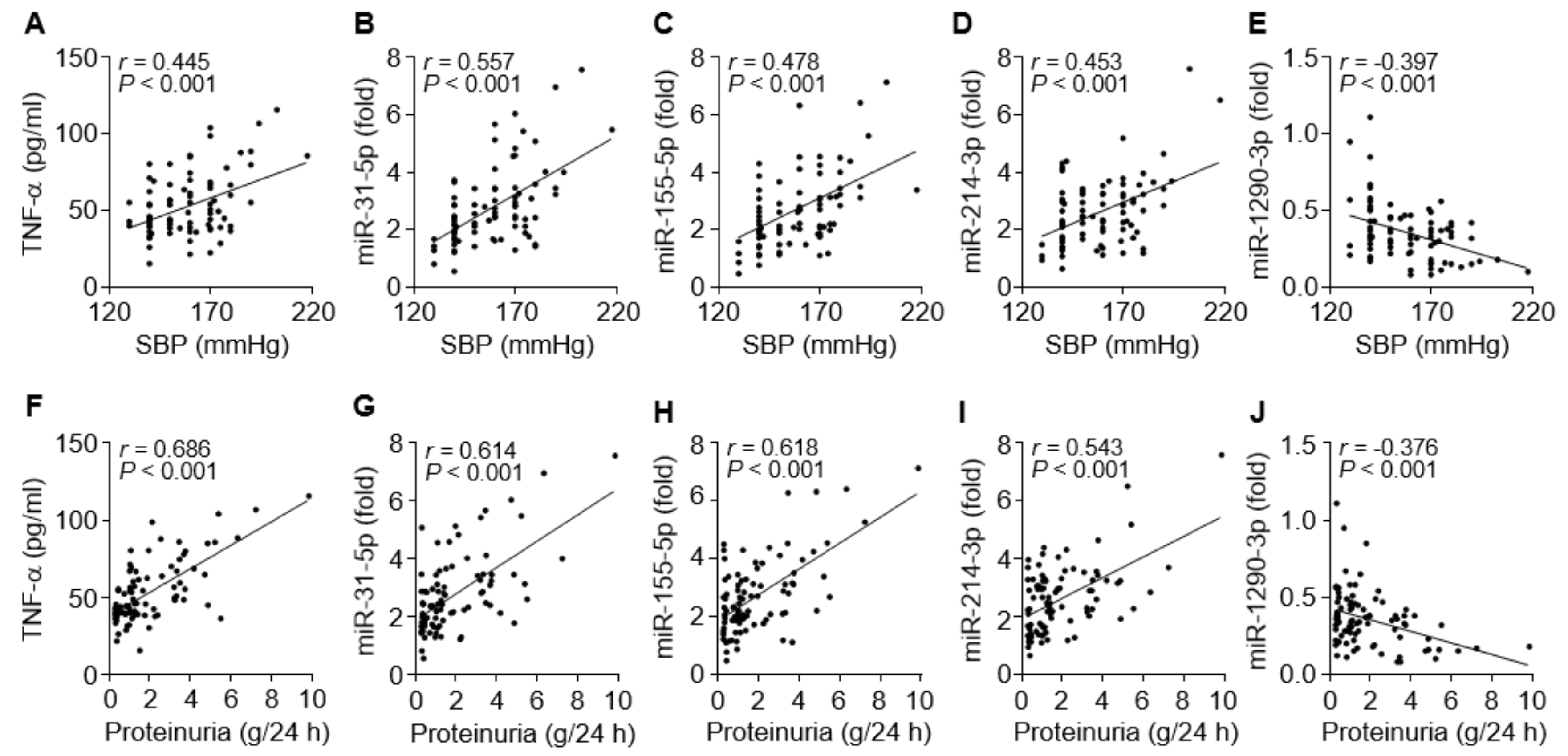 Cells 09 02003 g006 Cells 09 02003 g006