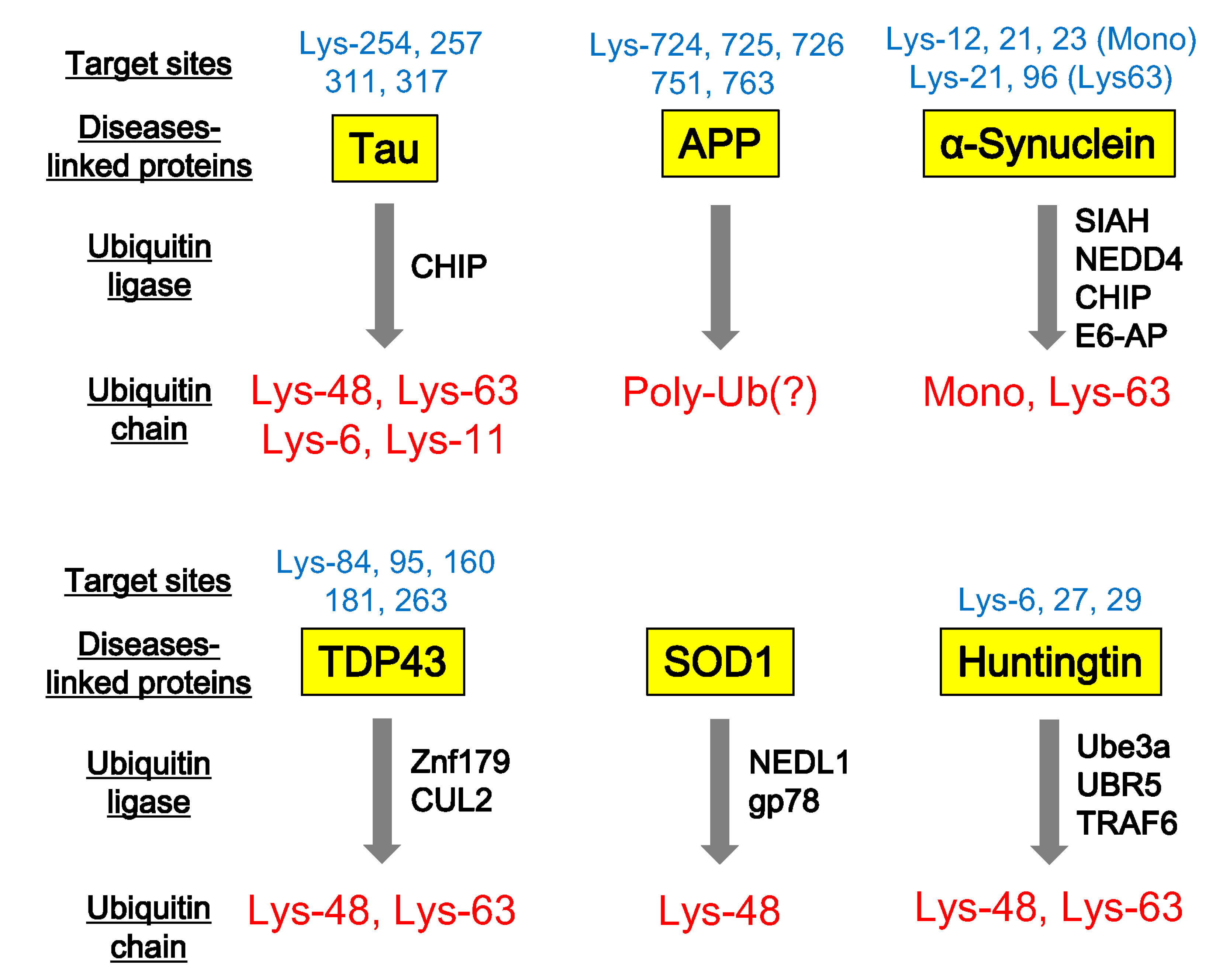 Cells 09 02022 g002 Cells 09 02022 g002