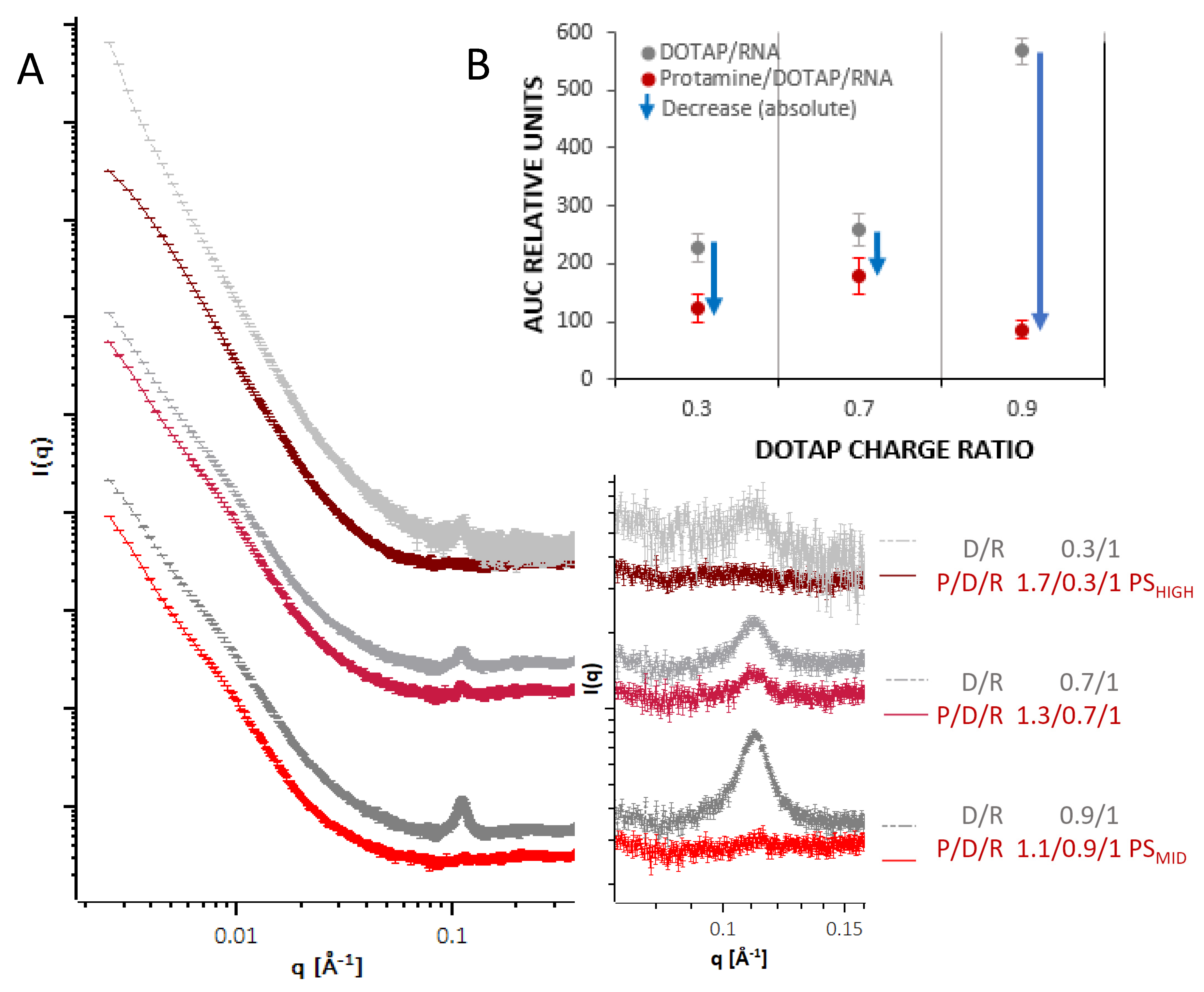Cells 09 02034 g003 Cells 09 02034 g003