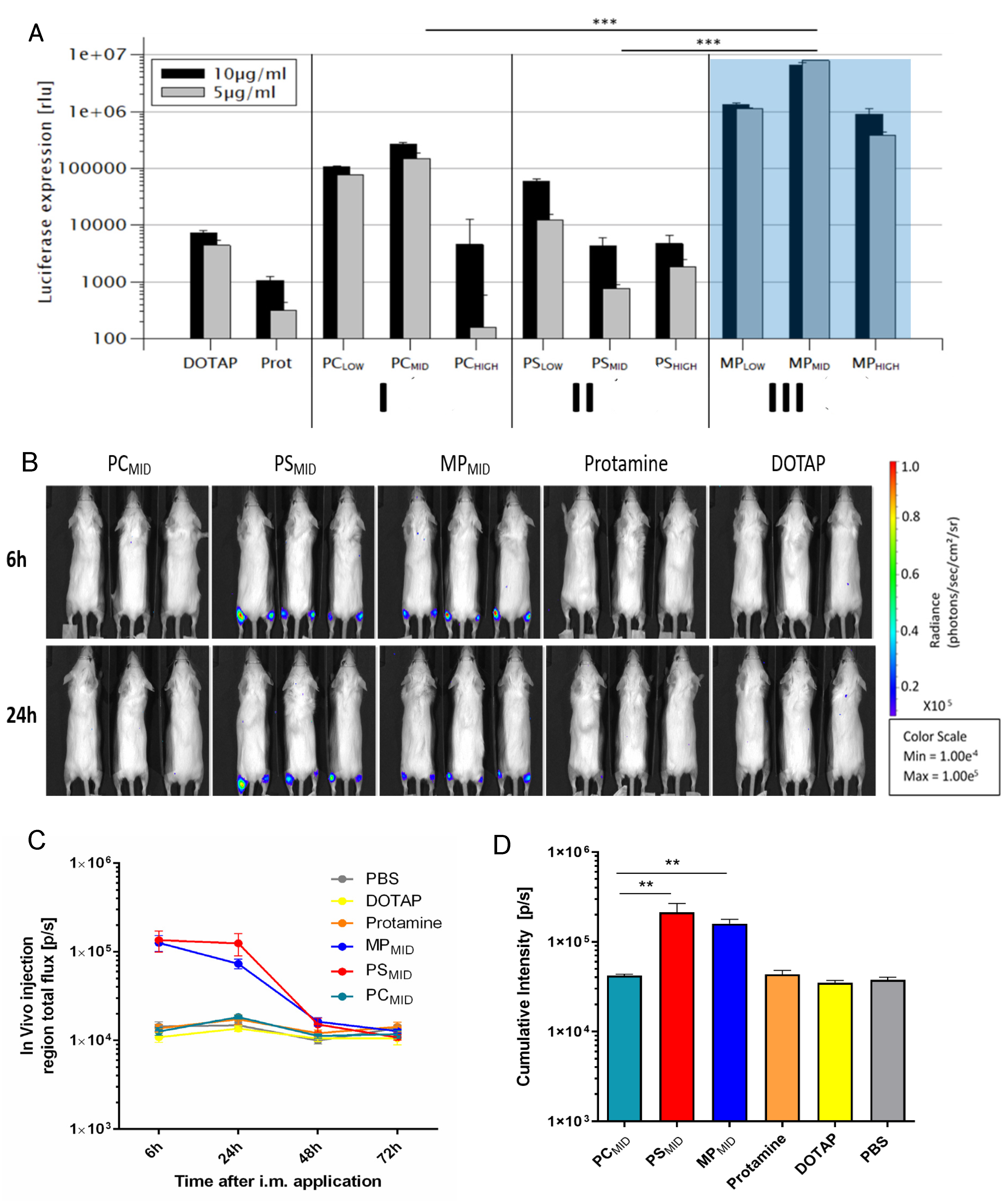 Cells 09 02034 g005 Cells 09 02034 g005