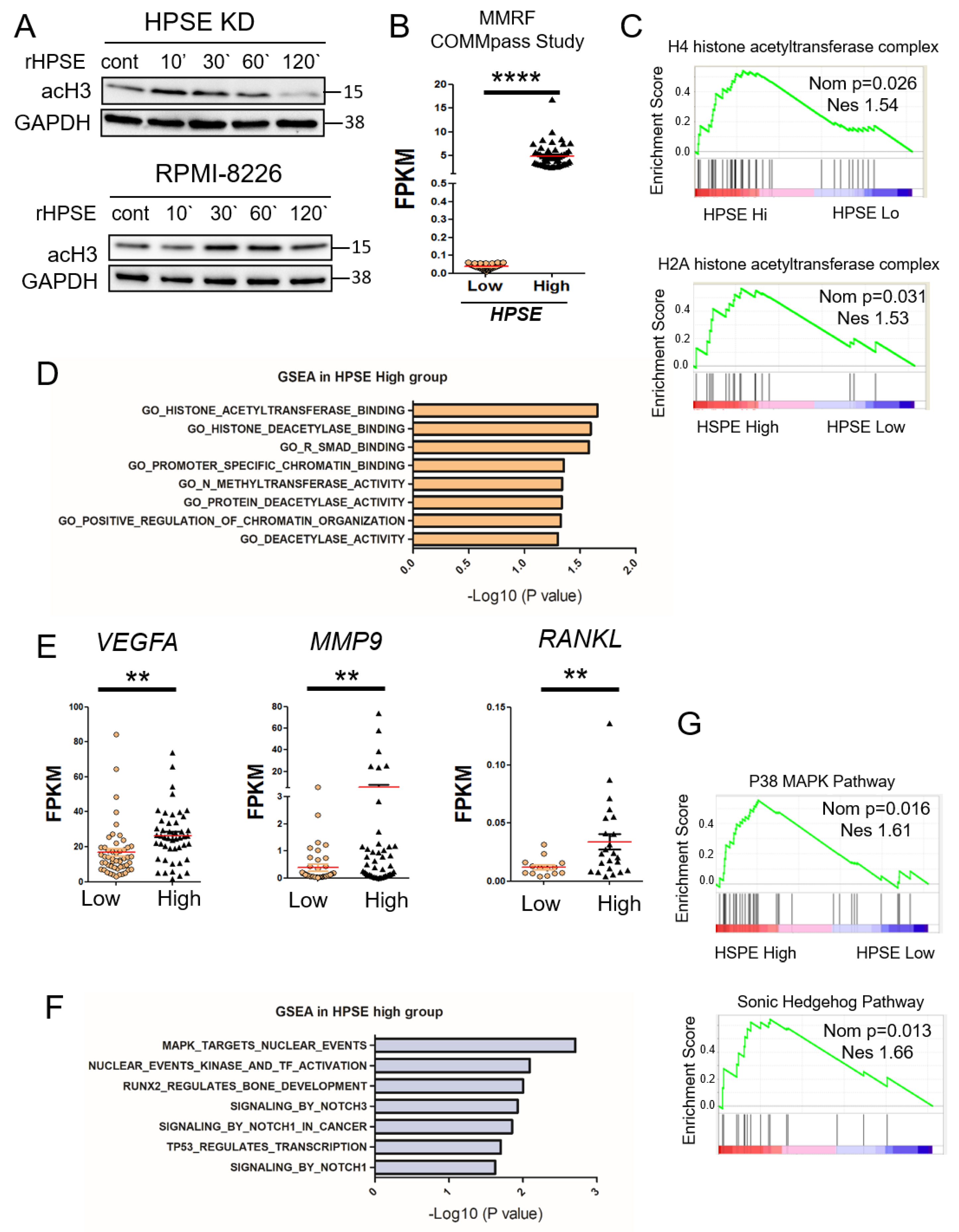 Cells 09 02038 g002 Cells 09 02038 g002