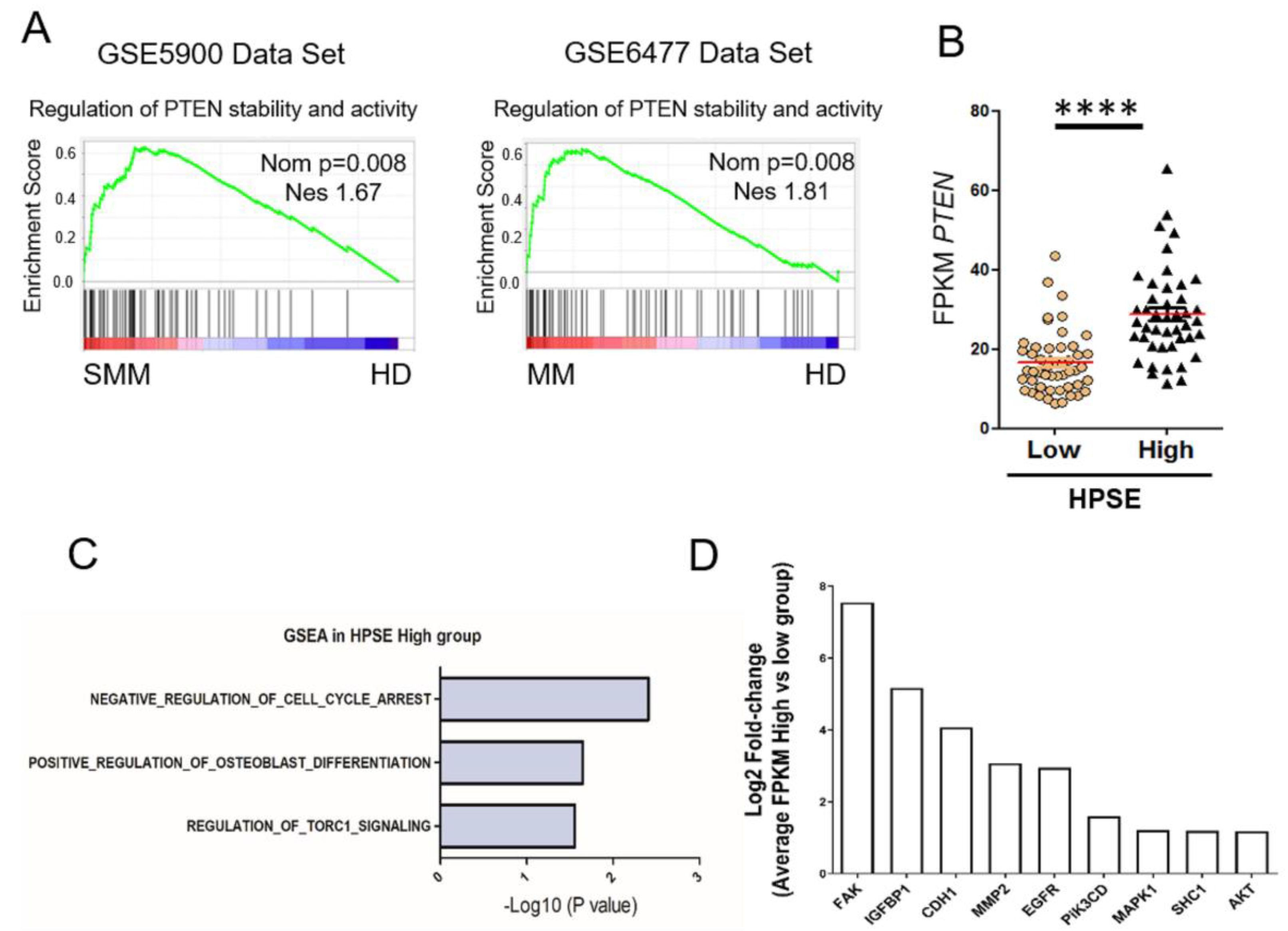 Cells 09 02038 g003 Cells 09 02038 g003