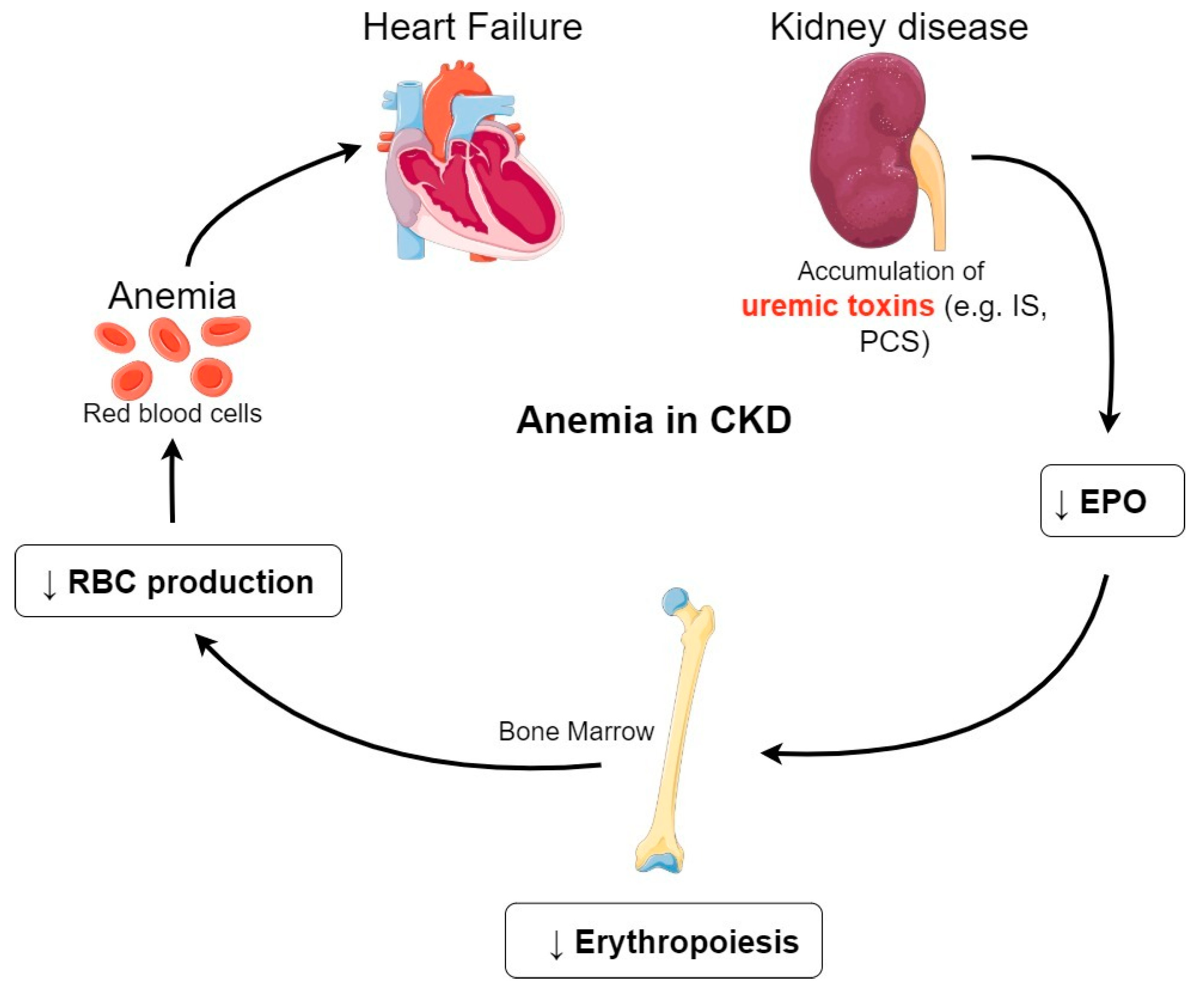 Cells 09 02039 g002 Cells 09 02039 g002
