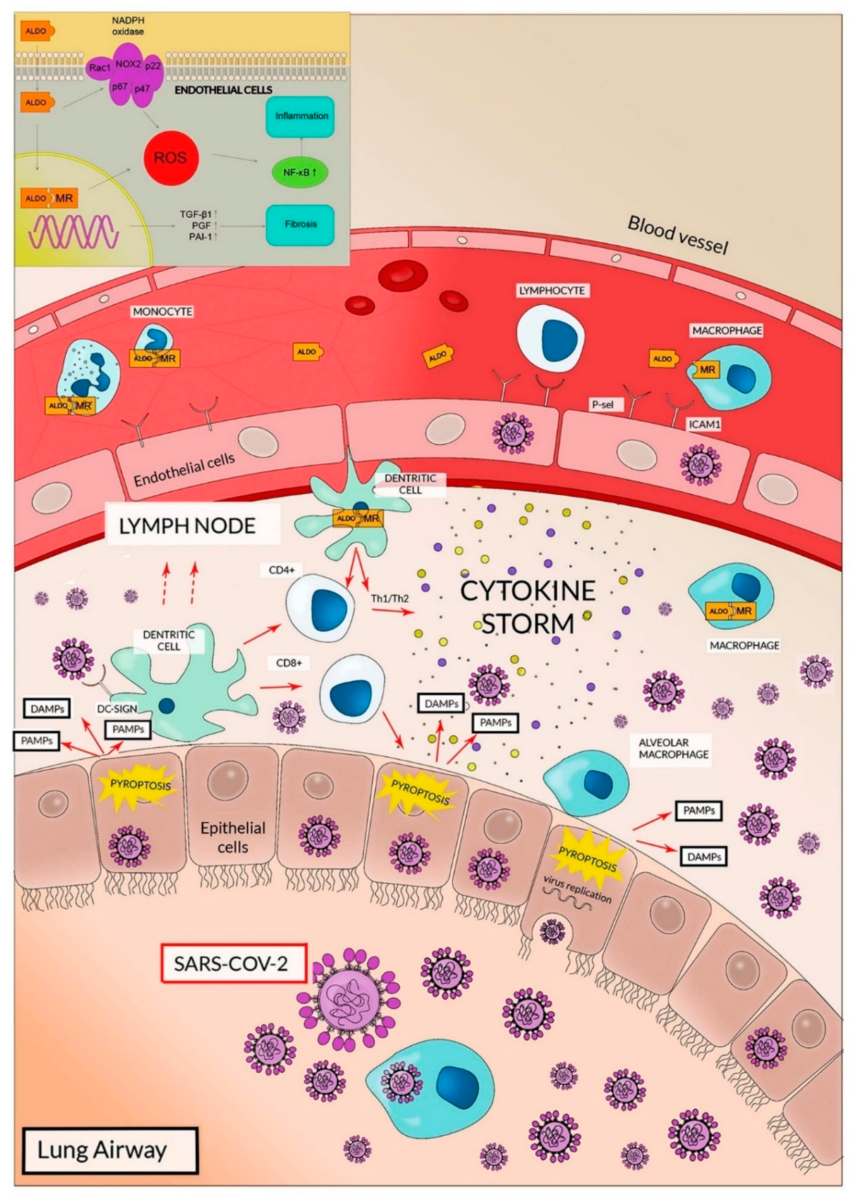 Cells 09 02046 g002