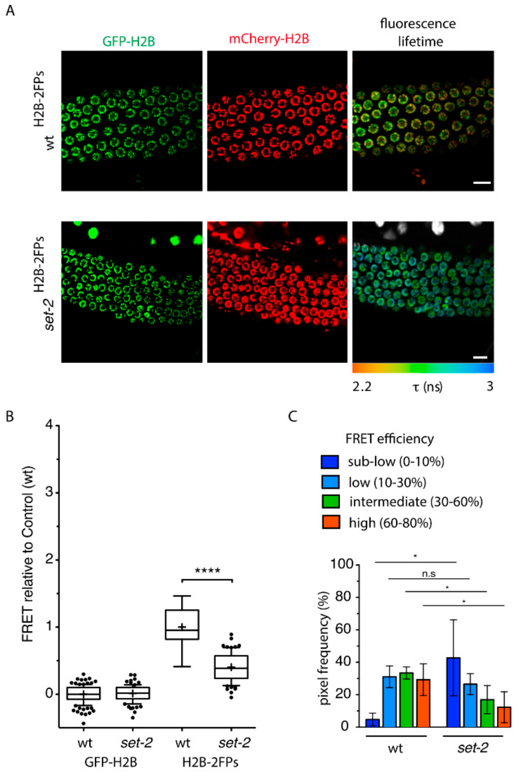 Cells 09 02049 g001