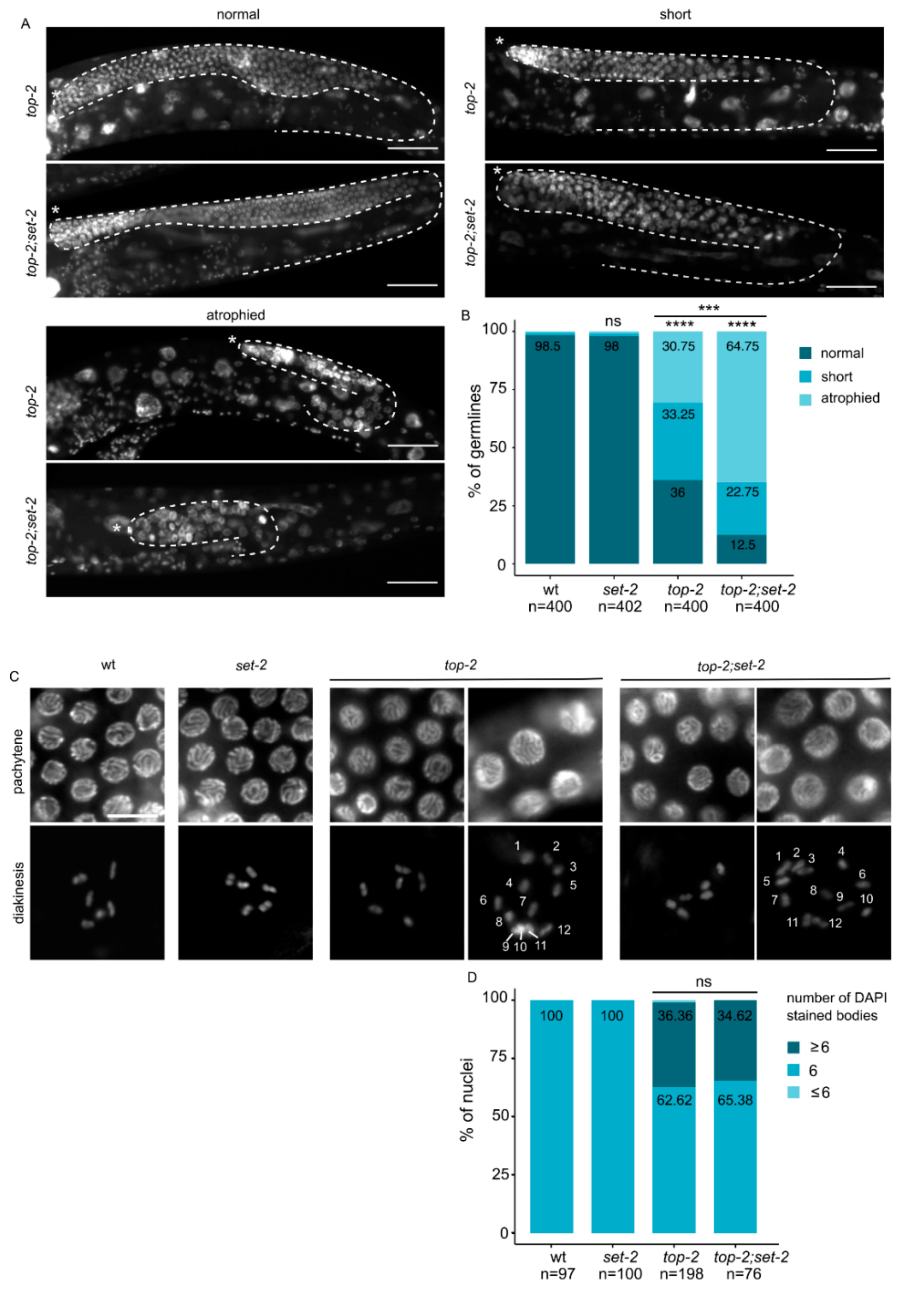 Cells 09 02049 g004