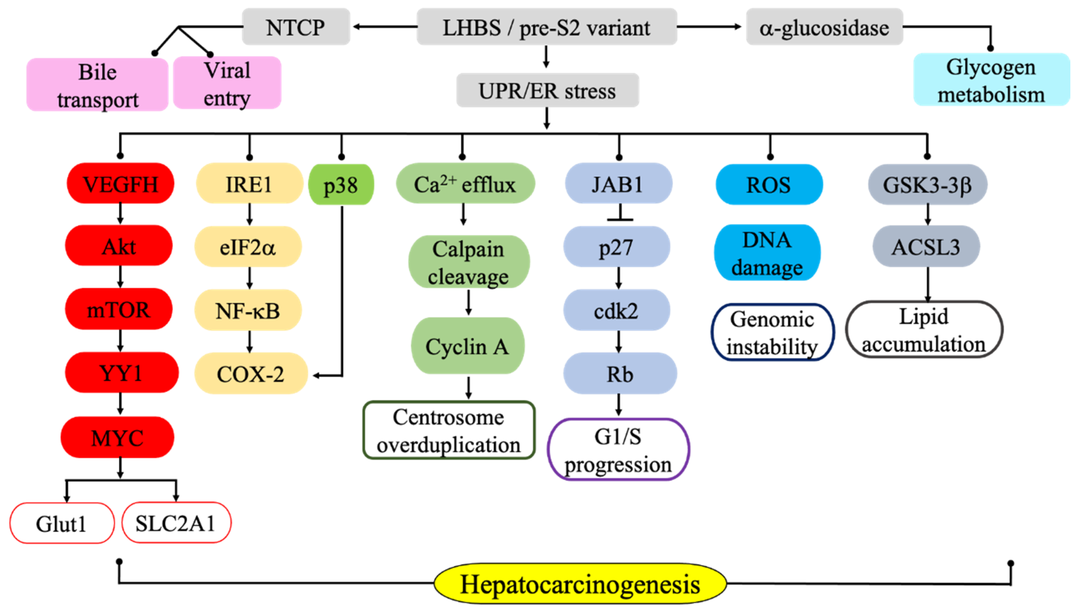 Cells 09 02052 g002 Cells 09 02052 g002