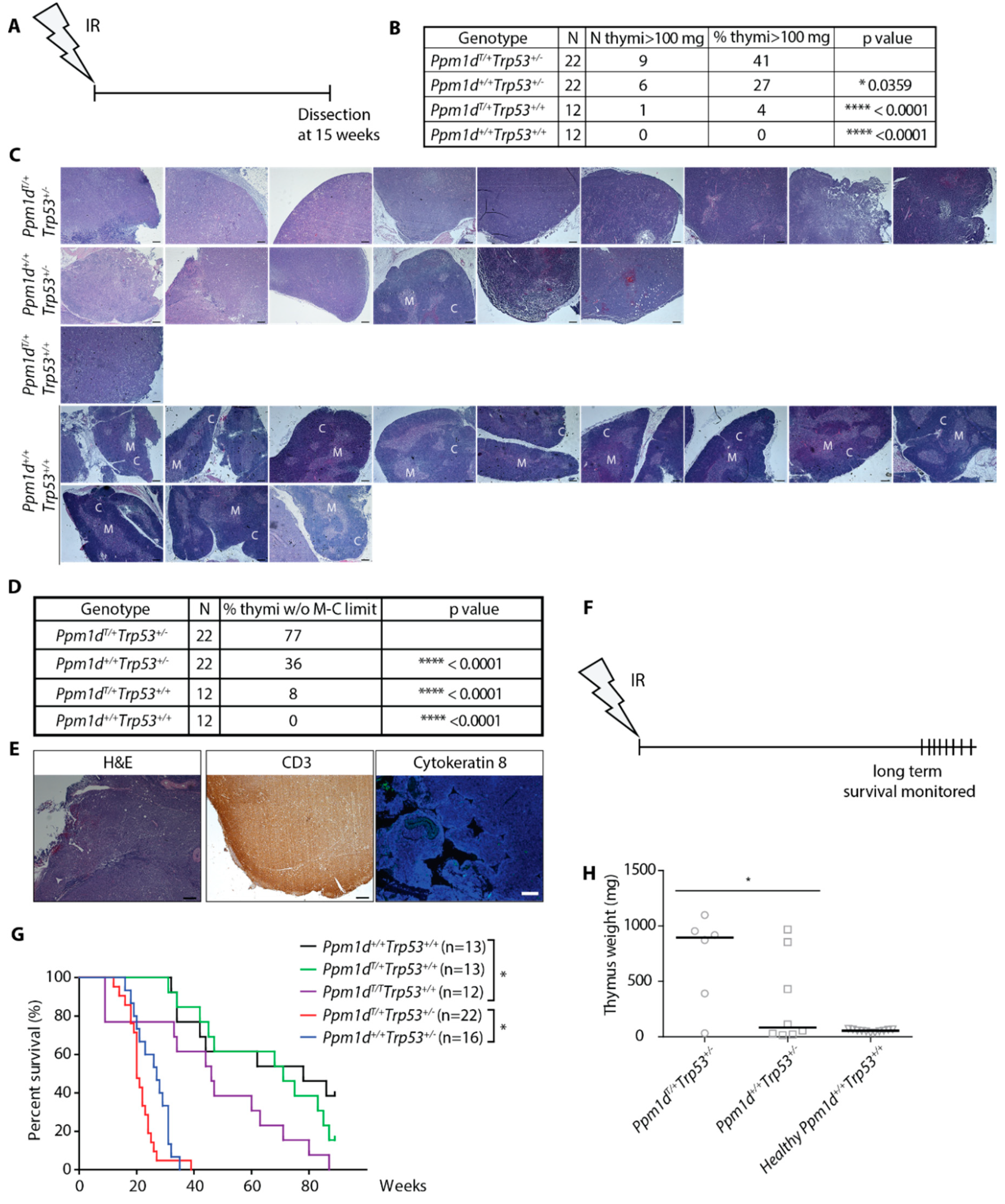 Cells 09 02068 g003
