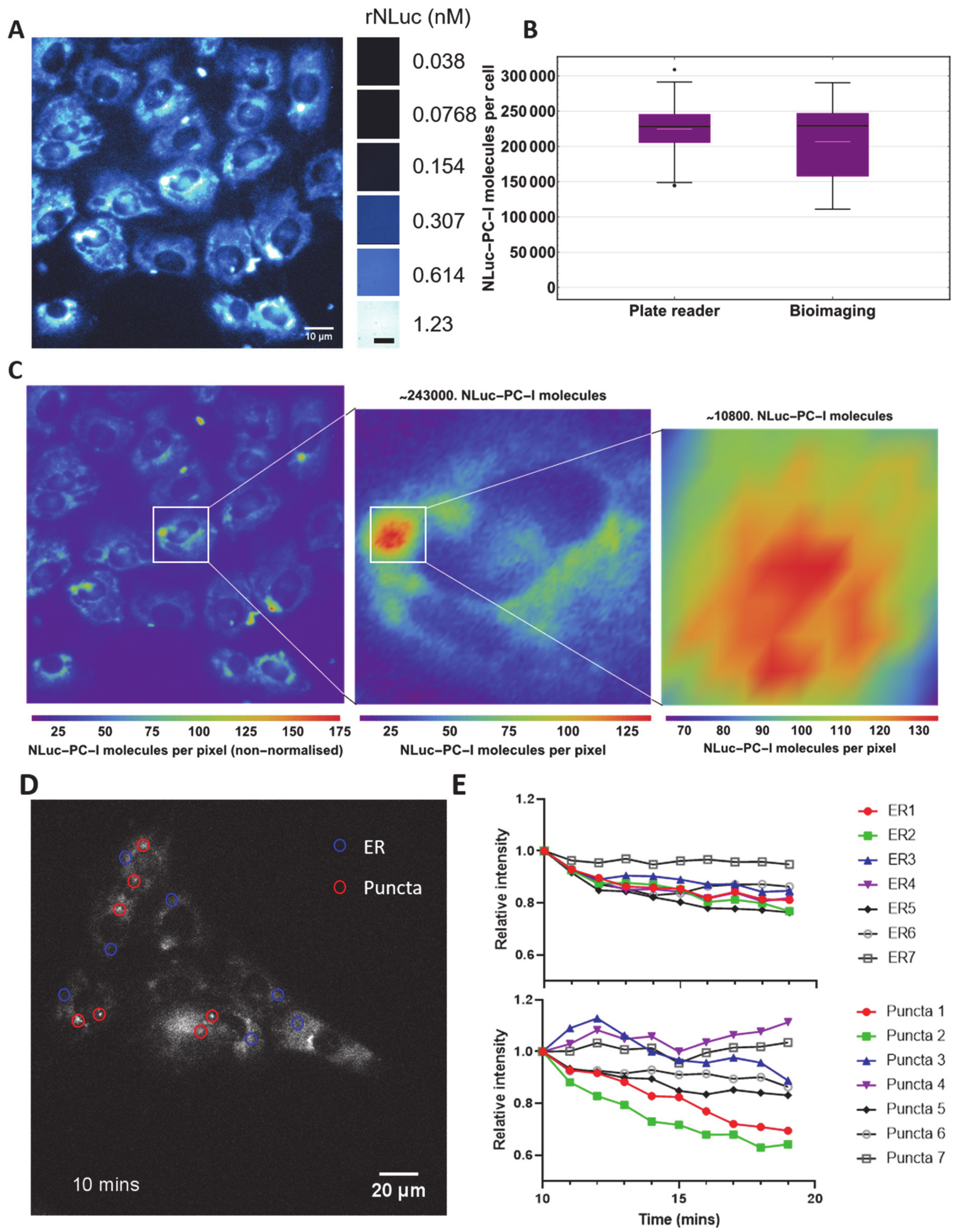 Cells 09 02070 g003 Cells 09 02070 g003