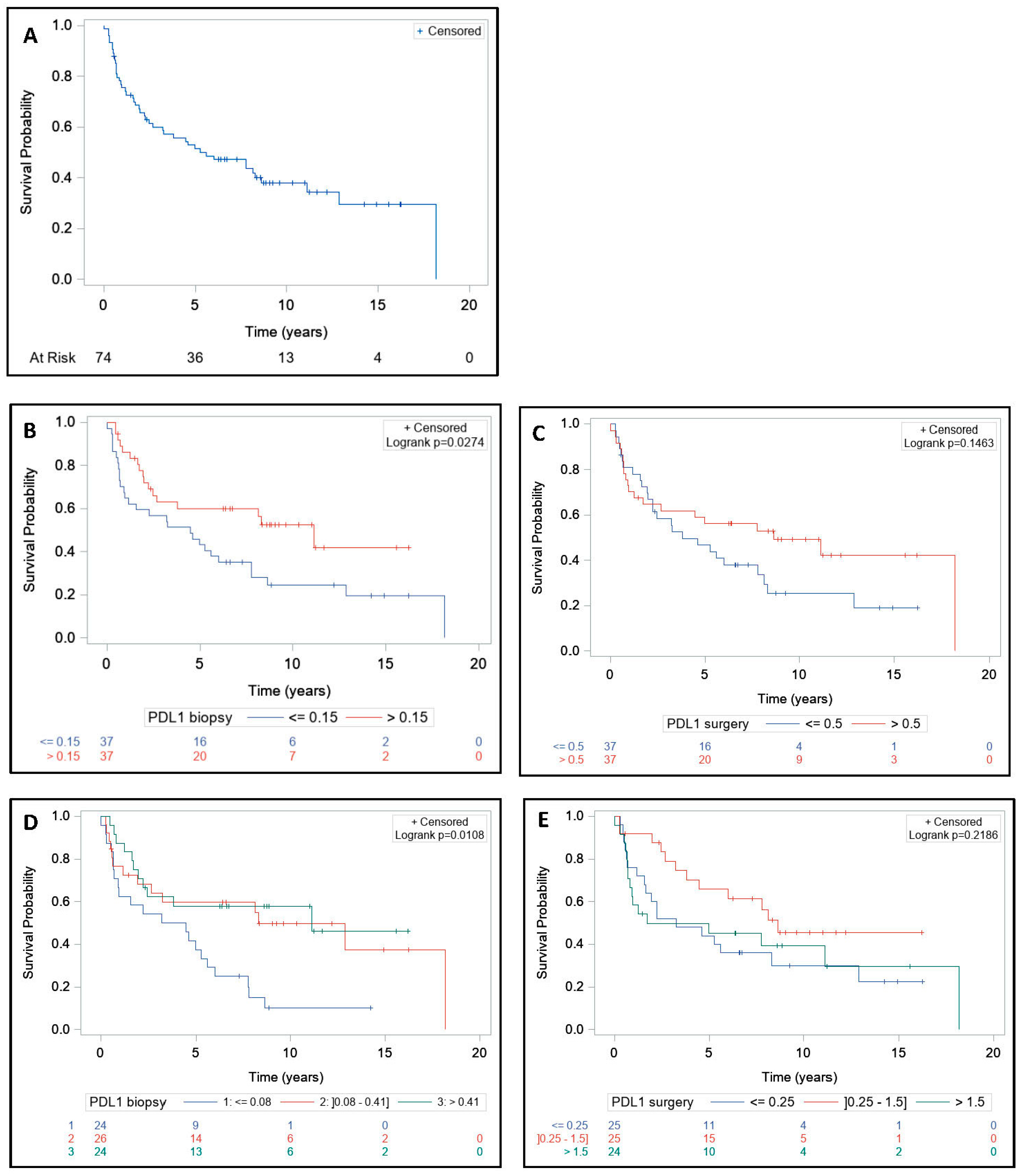 Cells 09 02071 g003 Cells 09 02071 g003