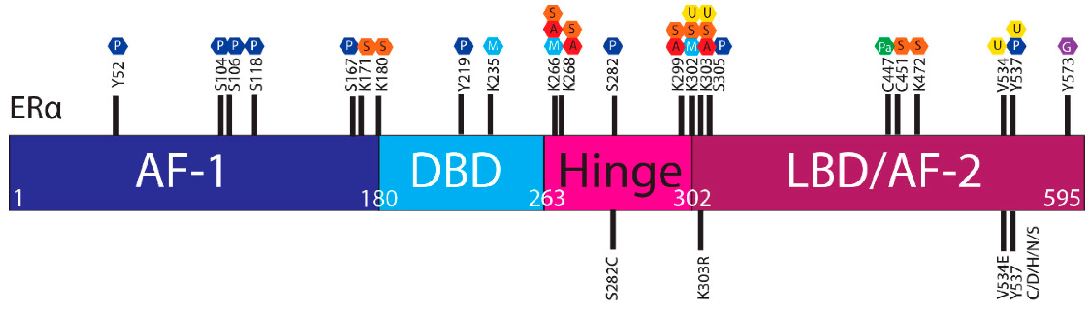 Cells 09 02077 g003 Cells 09 02077 g003