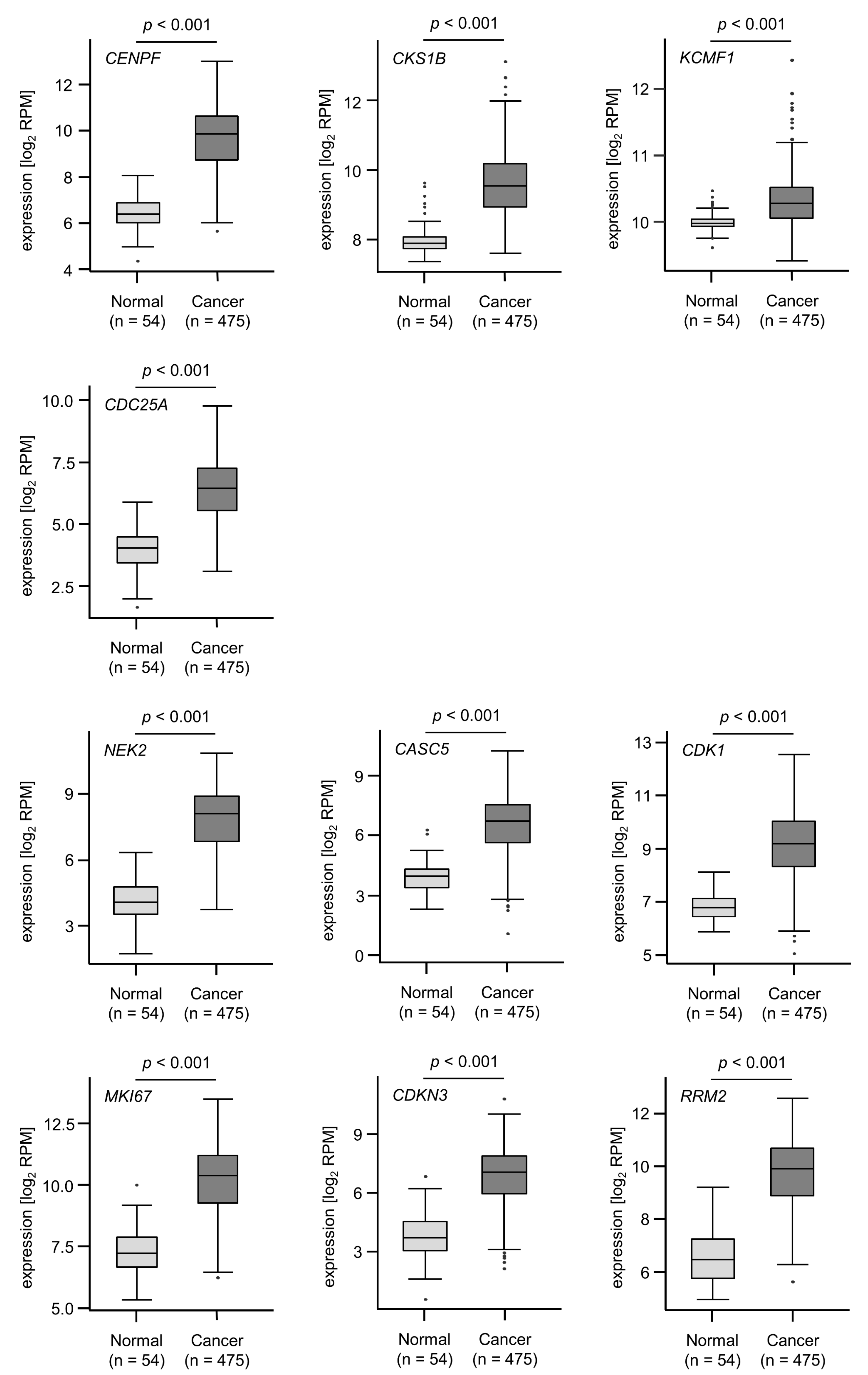 Cells 09 02083 g006a Cells 09 02083 g006a