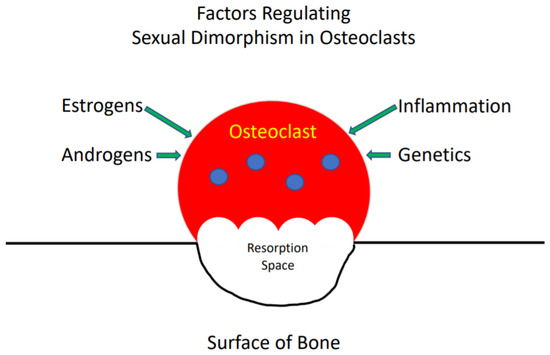 Cells 09 02086 g001 550