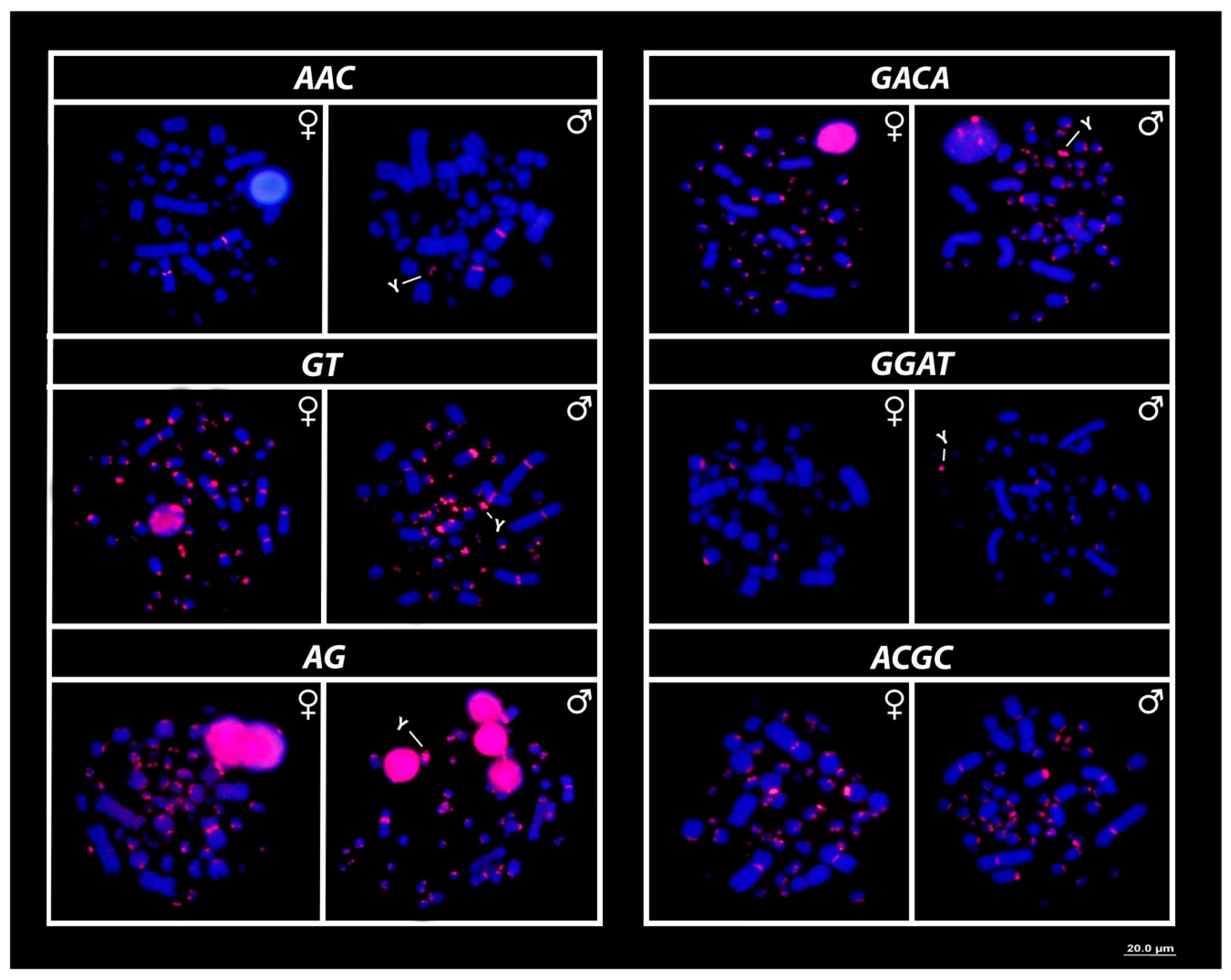 Cells 09 02088 g003 Cells 09 02088 g003