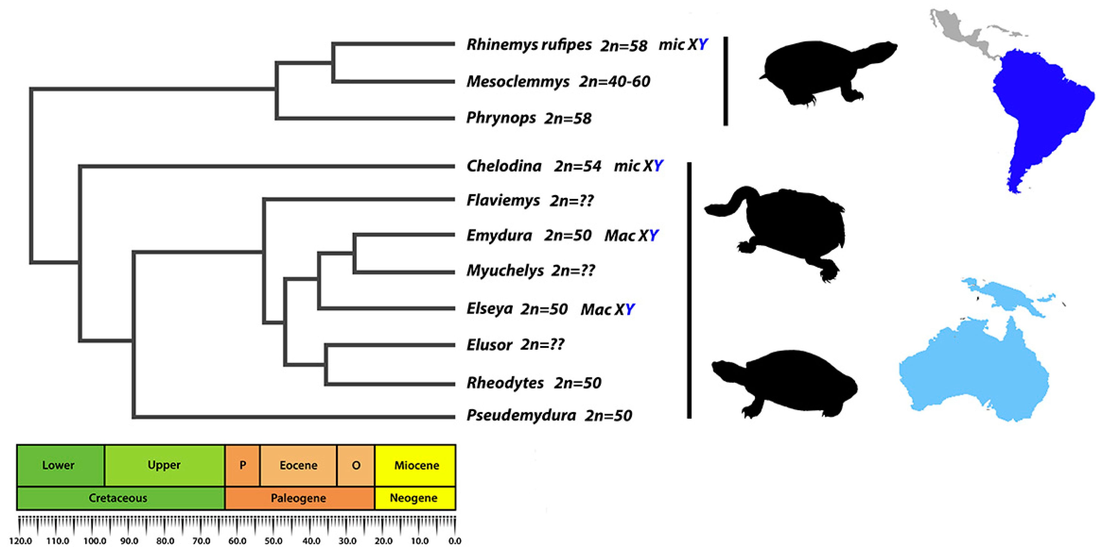 Cells 09 02088 g005 Cells 09 02088 g005