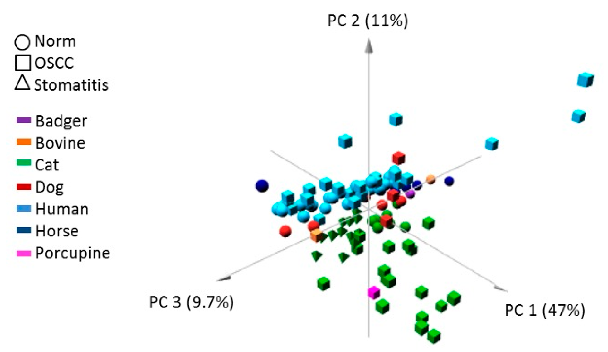 Cells Free Full Text An Evolutionary Cancer Epigenetic Approach Revealed Dna Hypermethylation Of Ultra Conserved Non Coding Elements In Squamous Cell Carcinoma Of Different Mammalian Species Html