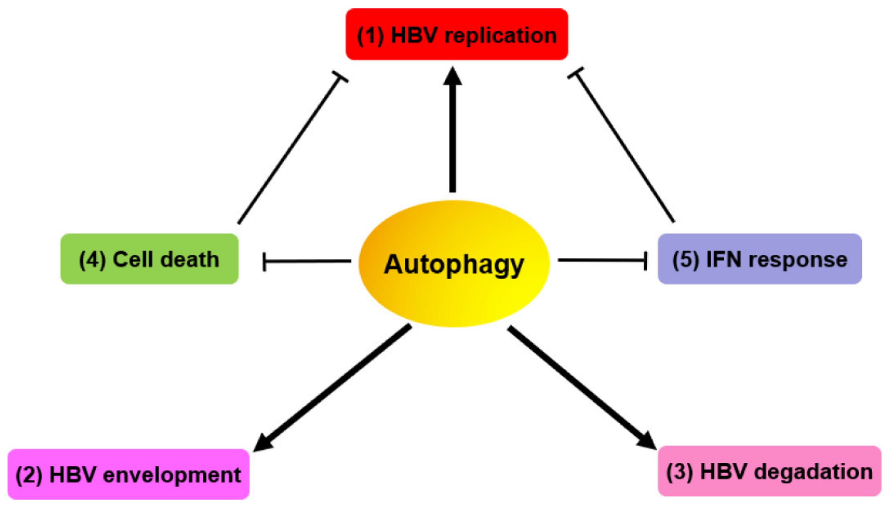 Cells 09 02101 g002 Cells 09 02101 g002