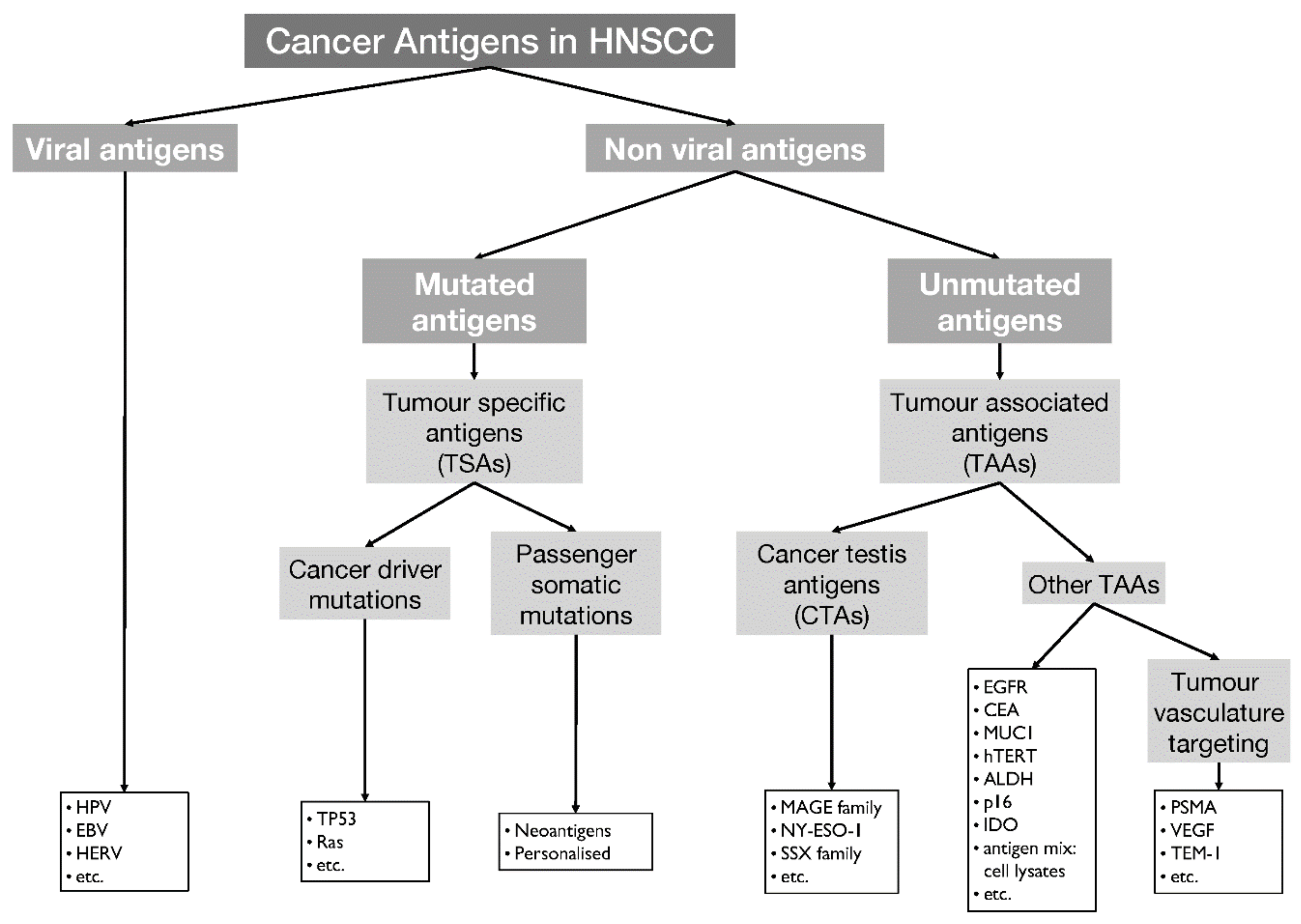 malignant pleural effusion and ascites