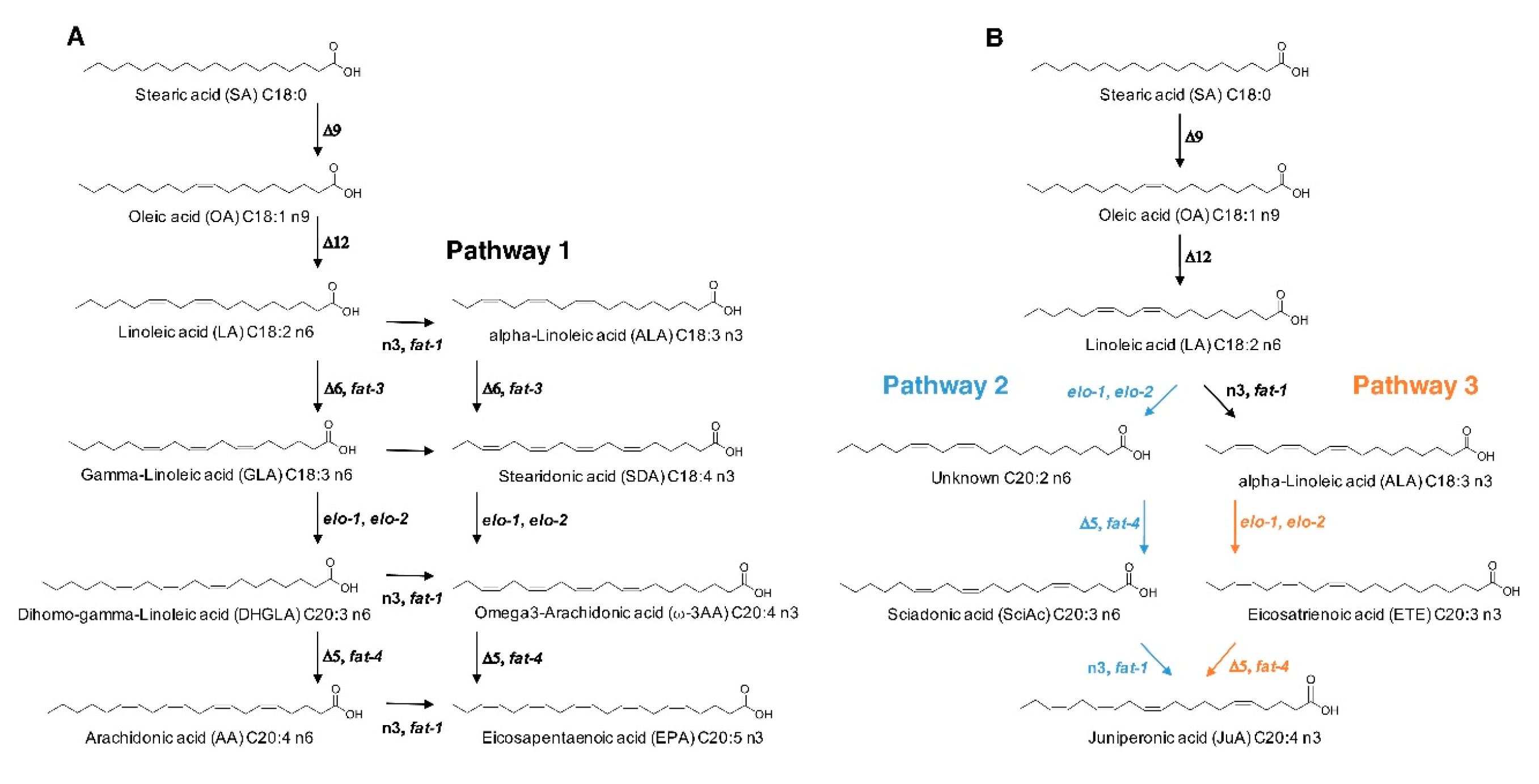 Cells 09 02127 g004 Cells 09 02127 g004