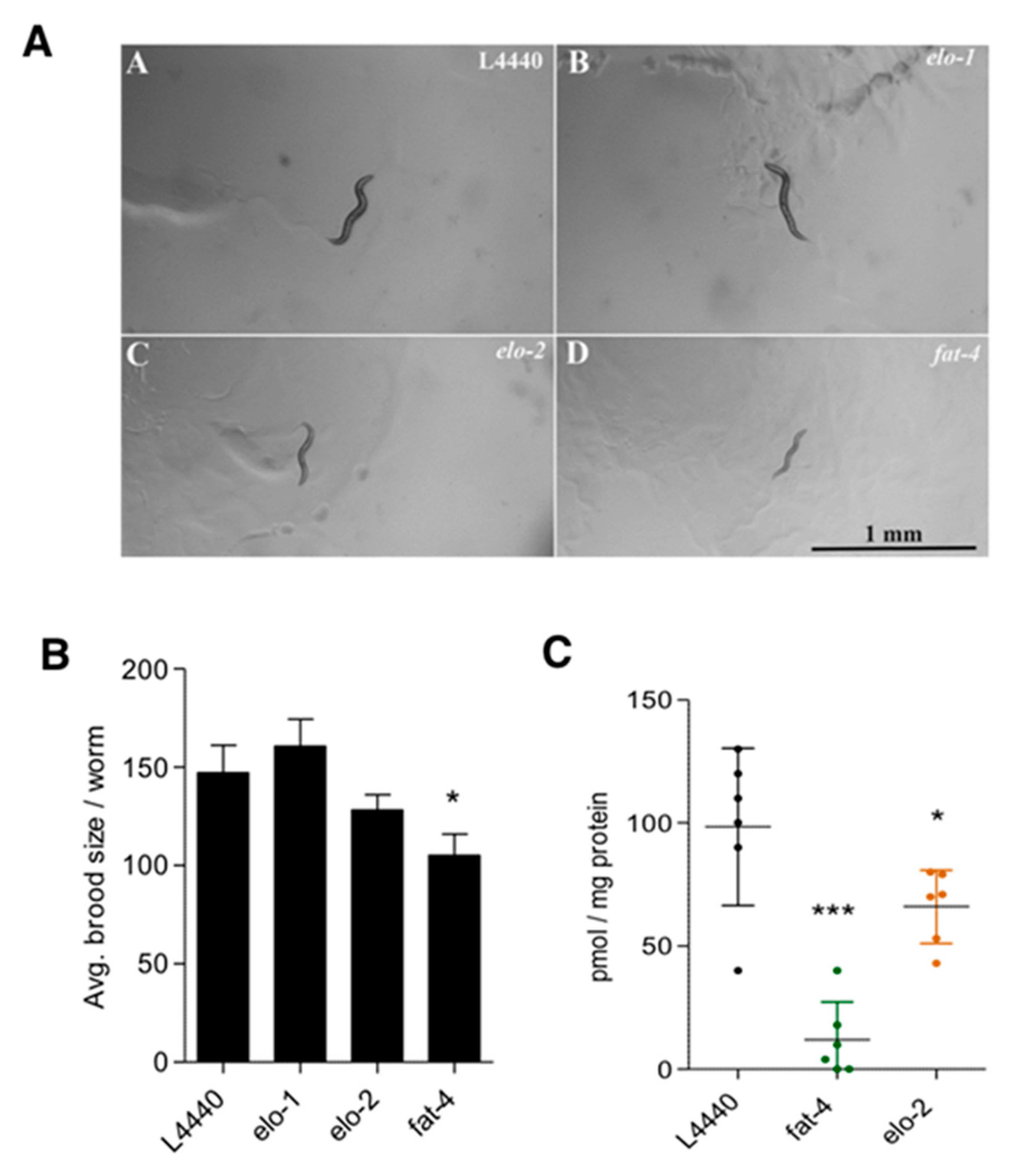 Cells 09 02127 g006 Cells 09 02127 g006
