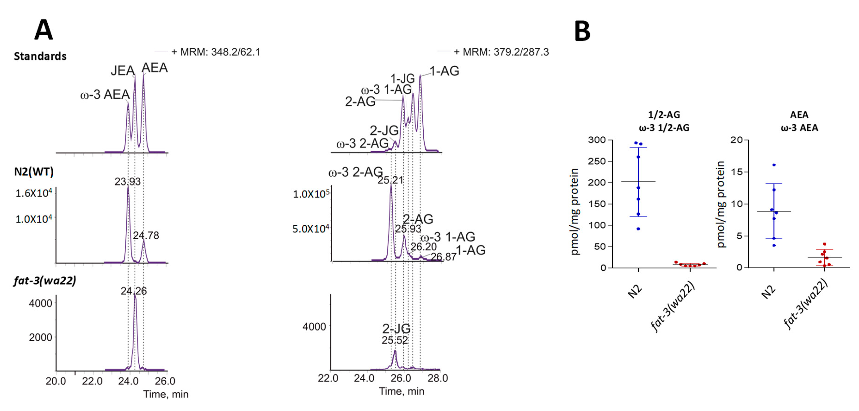 Cells 09 02127 g008 Cells 09 02127 g008